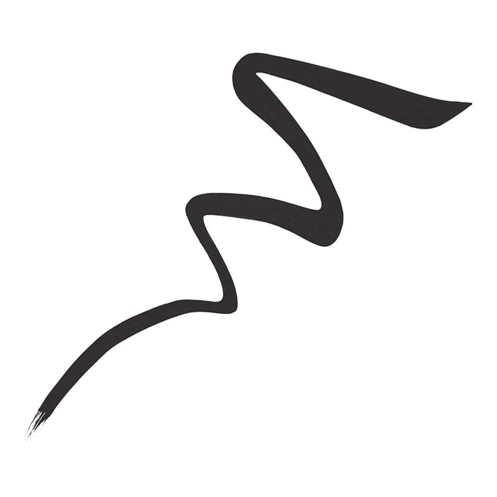 Liquid Eyeliner • True Black Matte
