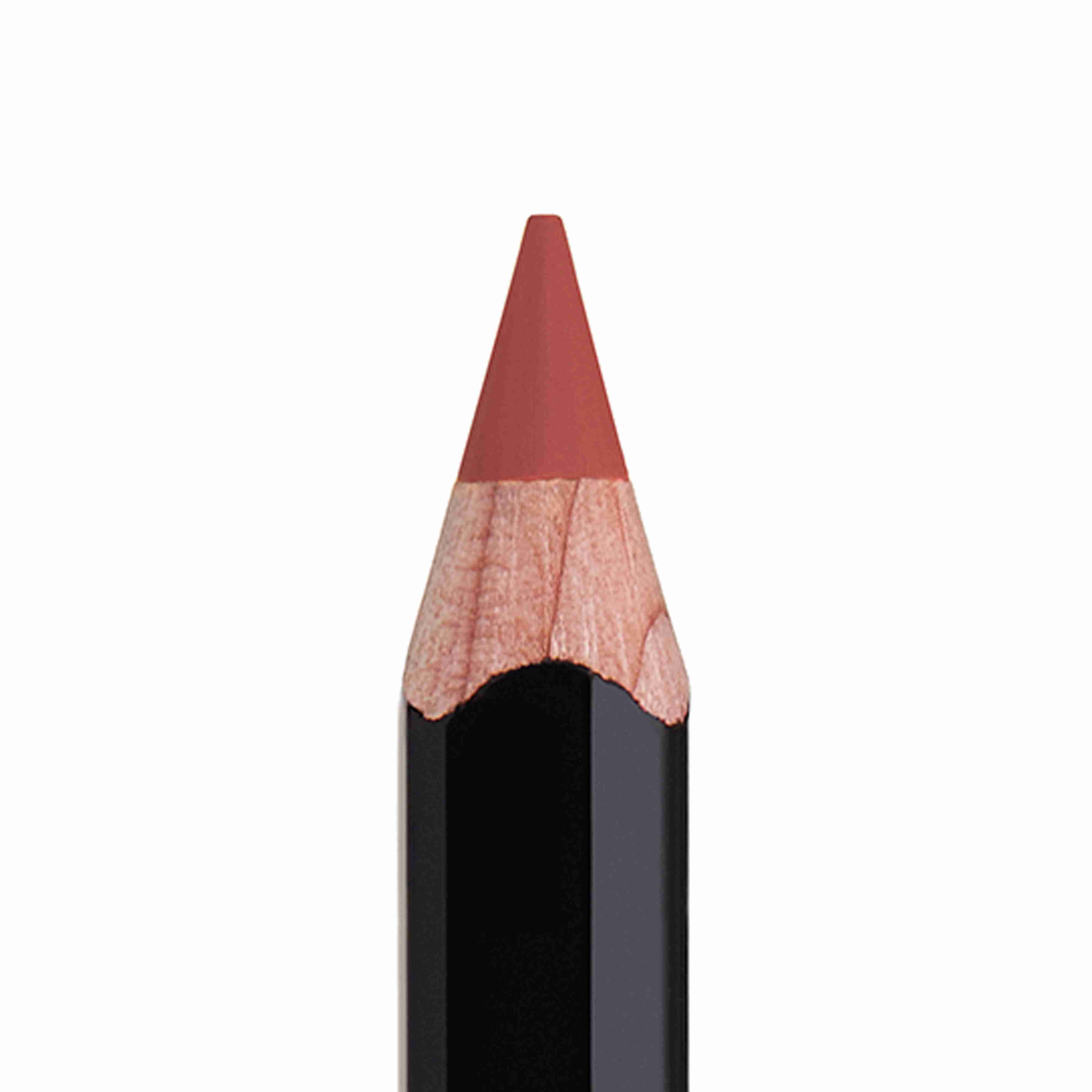 Lip Liner • Raisin