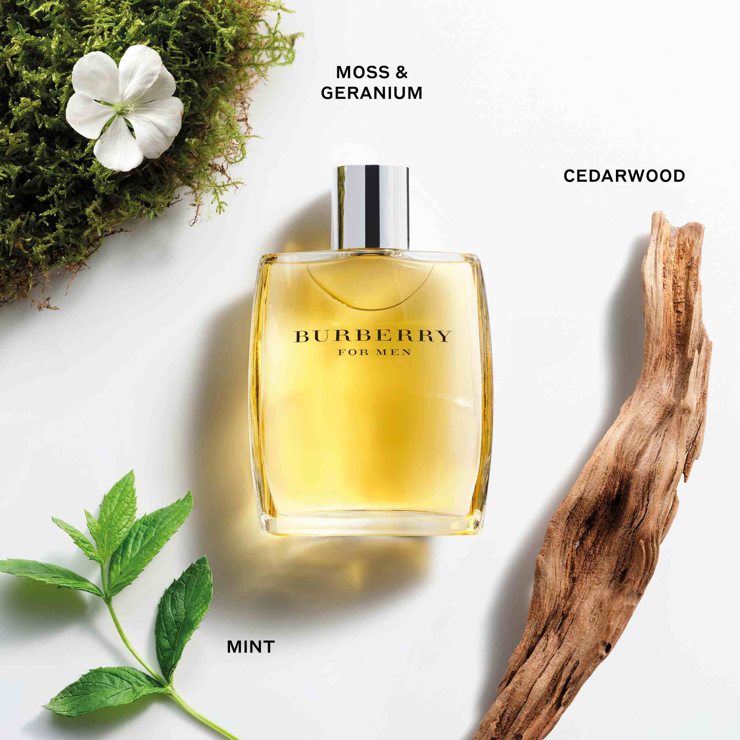 Eau De Toilette For Men • 100ml