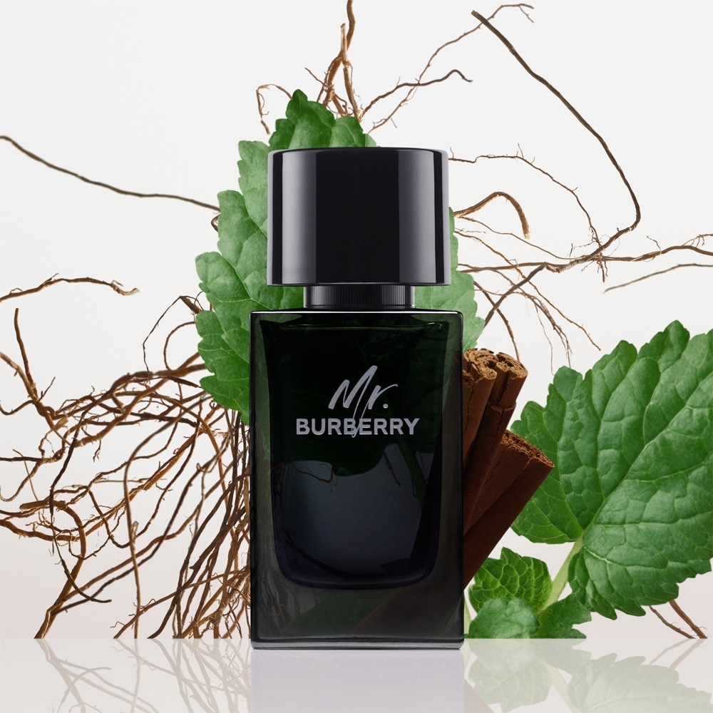 Mr. Burberry Eau De Parfum • 100ml