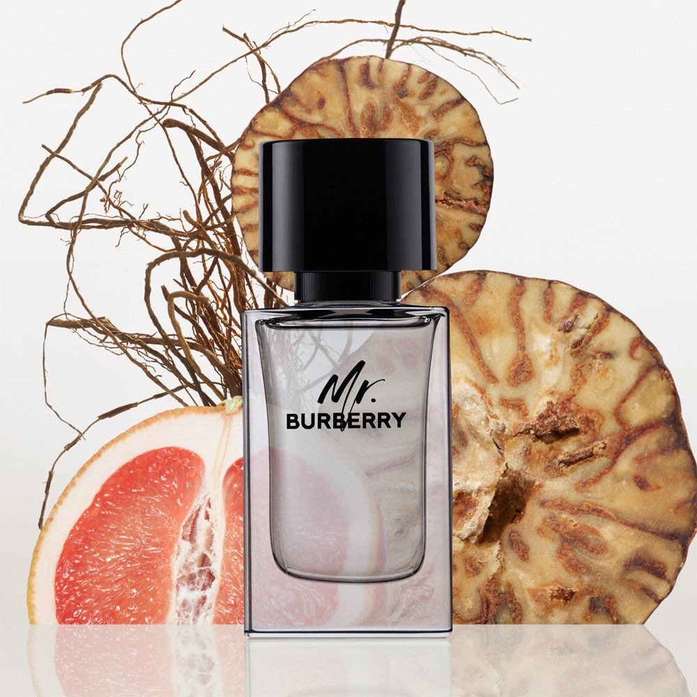 Mr. Burberry Eau De Toilette For Men • 50ml