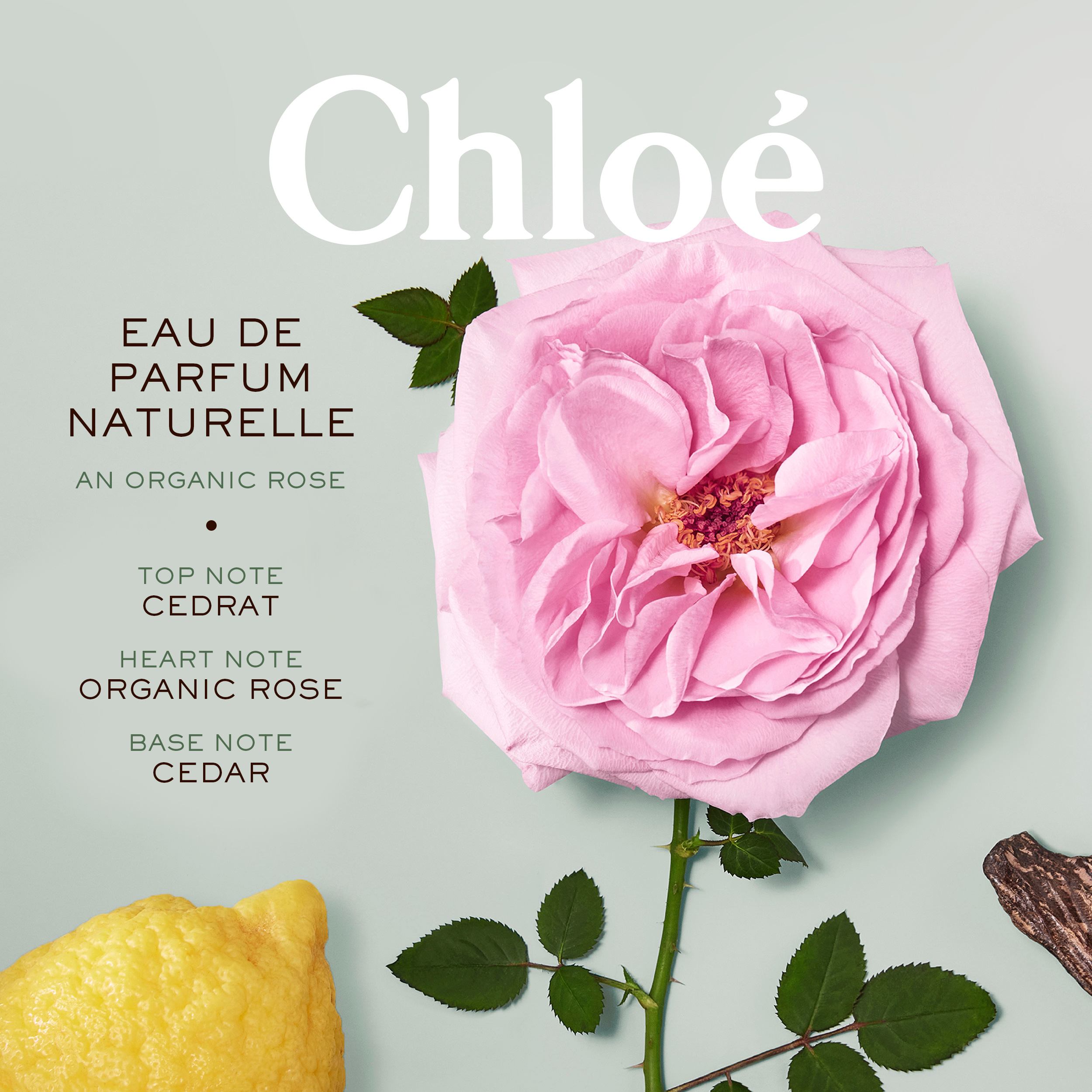 Naturelle Eau De Parfum • 100ml