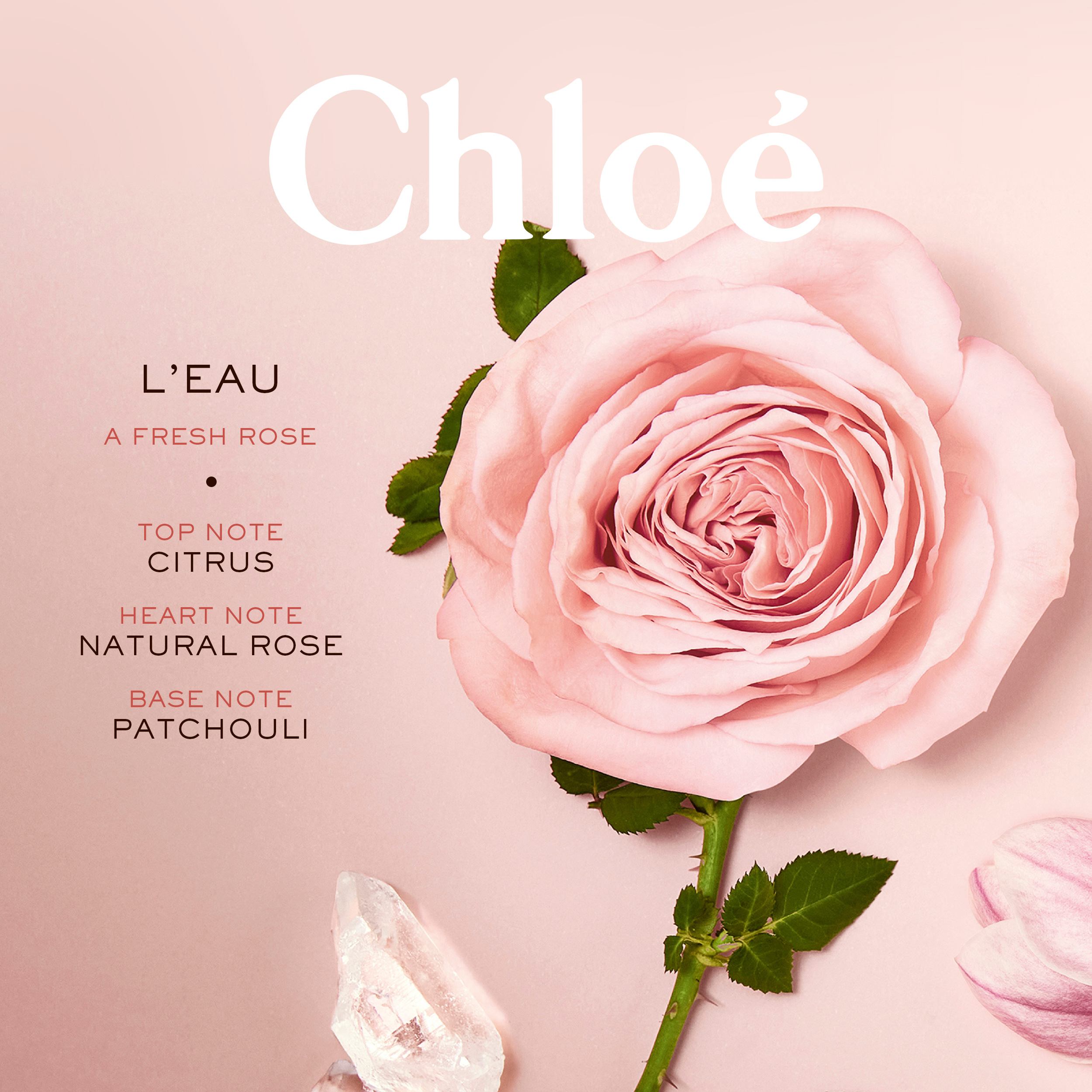 L'eau Eau De Toilette • 100ml