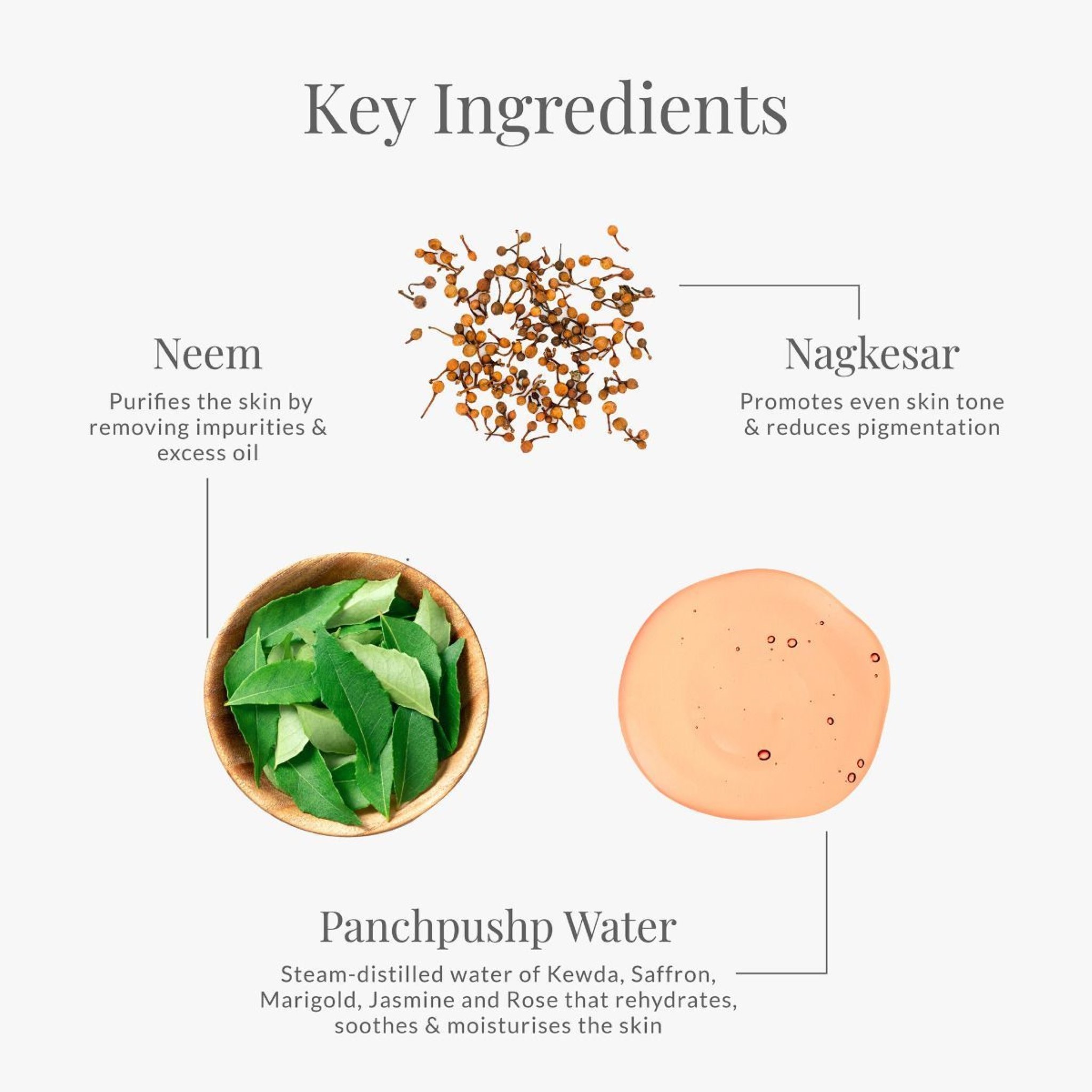 Delicate Facial Cleanser With Saffron & Neem • 50ml
