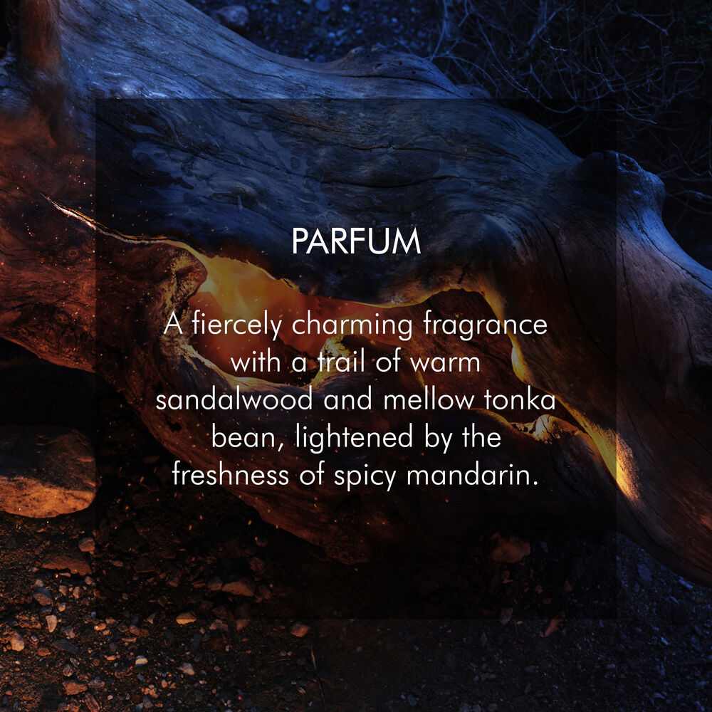 Sauvage Parfum • 100ml