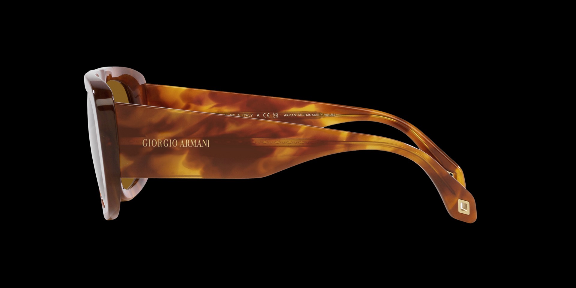 0AR8183 Acetate Men Sunglasses