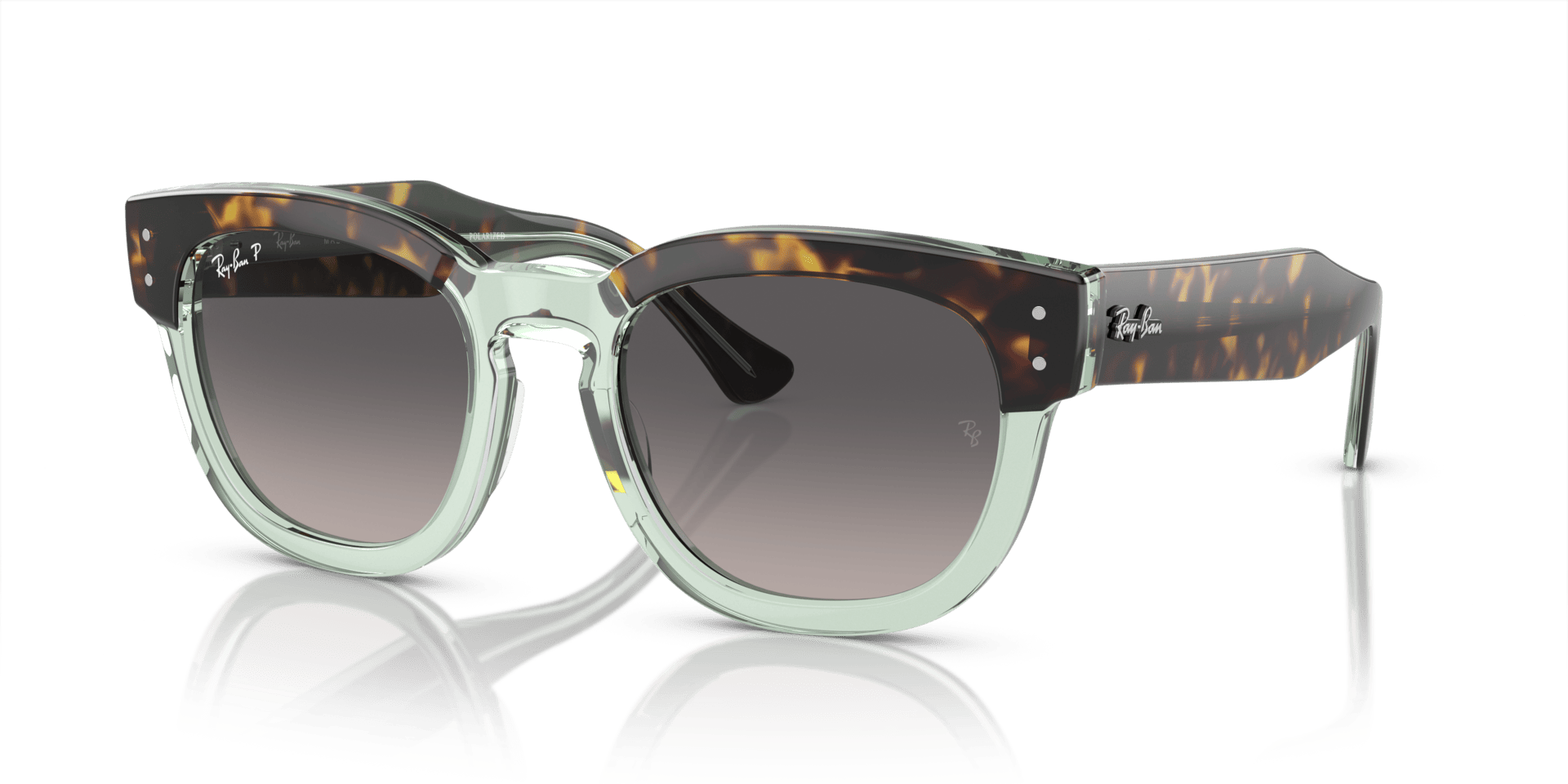0RB0298S Propionate Unisex Sunglasses