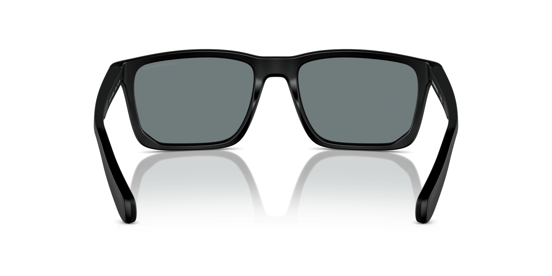 0EA4219 Injected Men Sunglasses