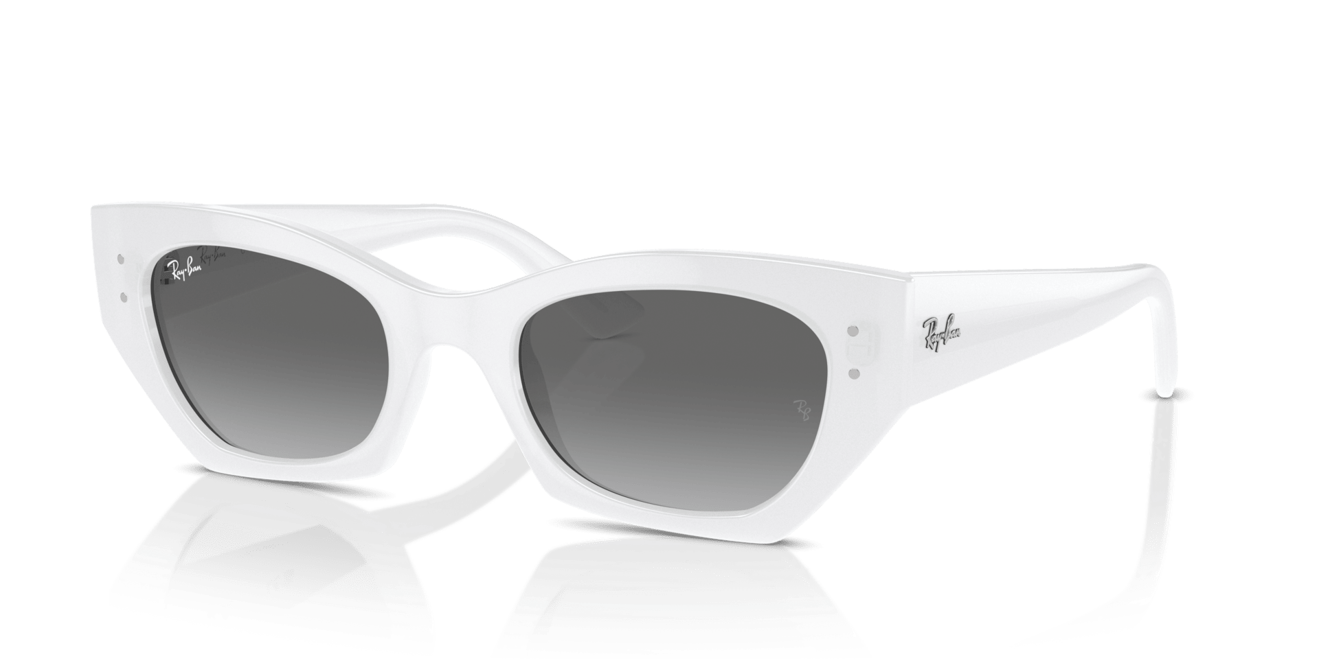 0RB4430 Injected Unisex Sunglasses