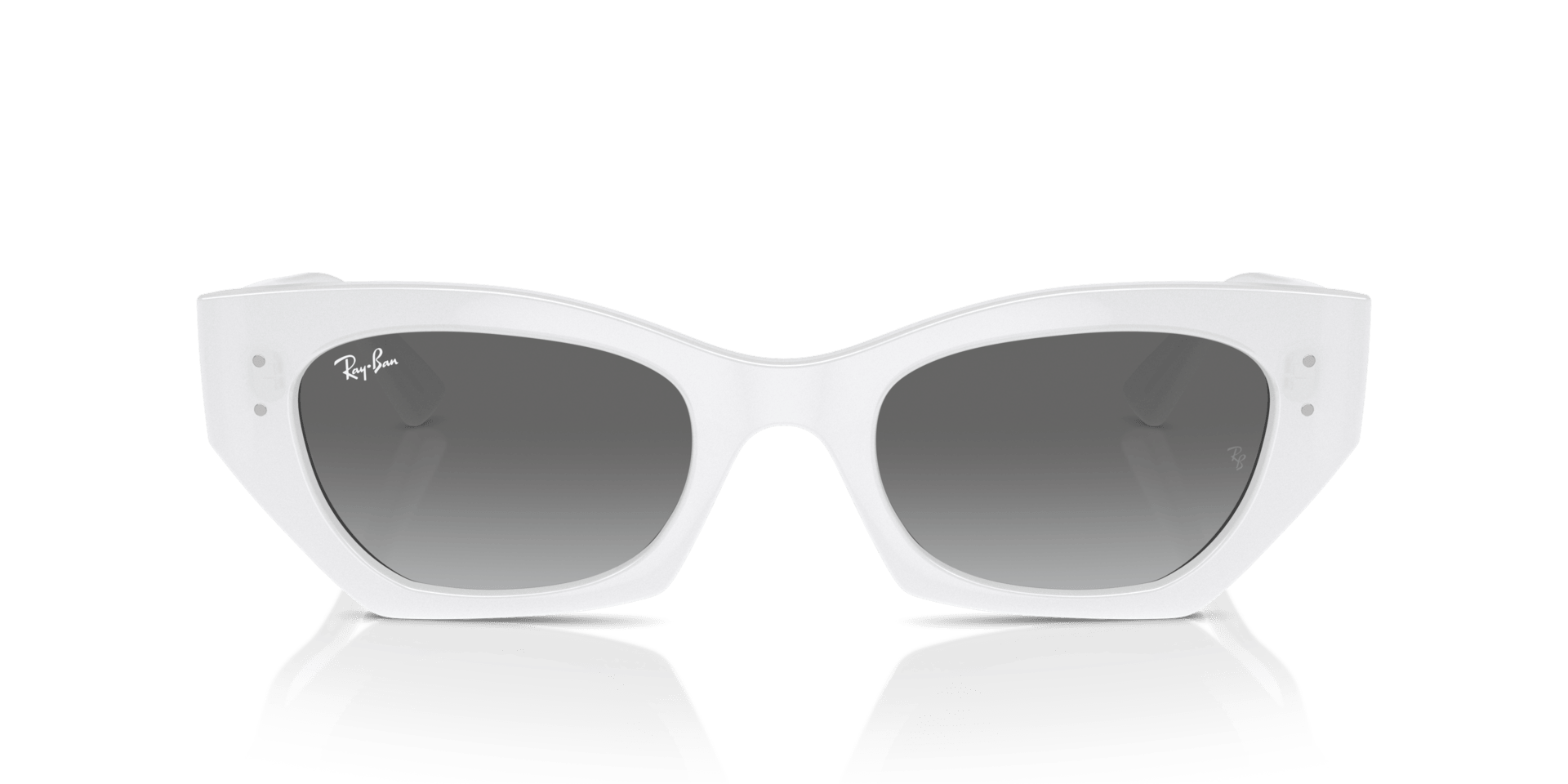 0RB4430 Injected Unisex Sunglasses