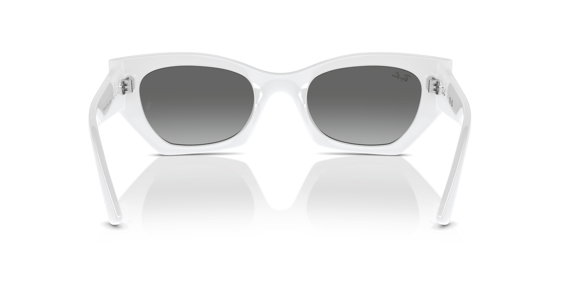 0RB4430 Injected Unisex Sunglasses