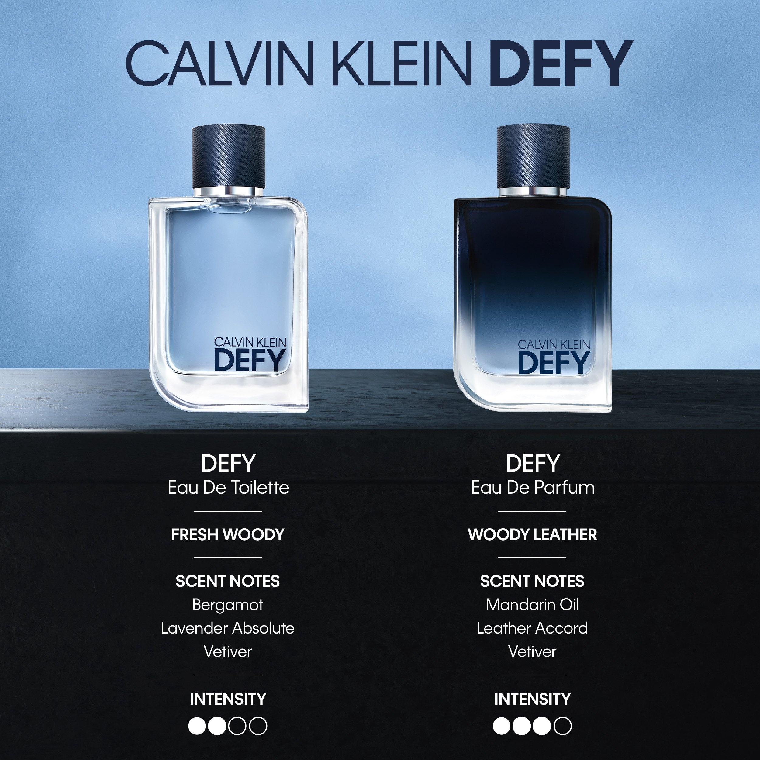 Defy Eau De Parfum • 100ml