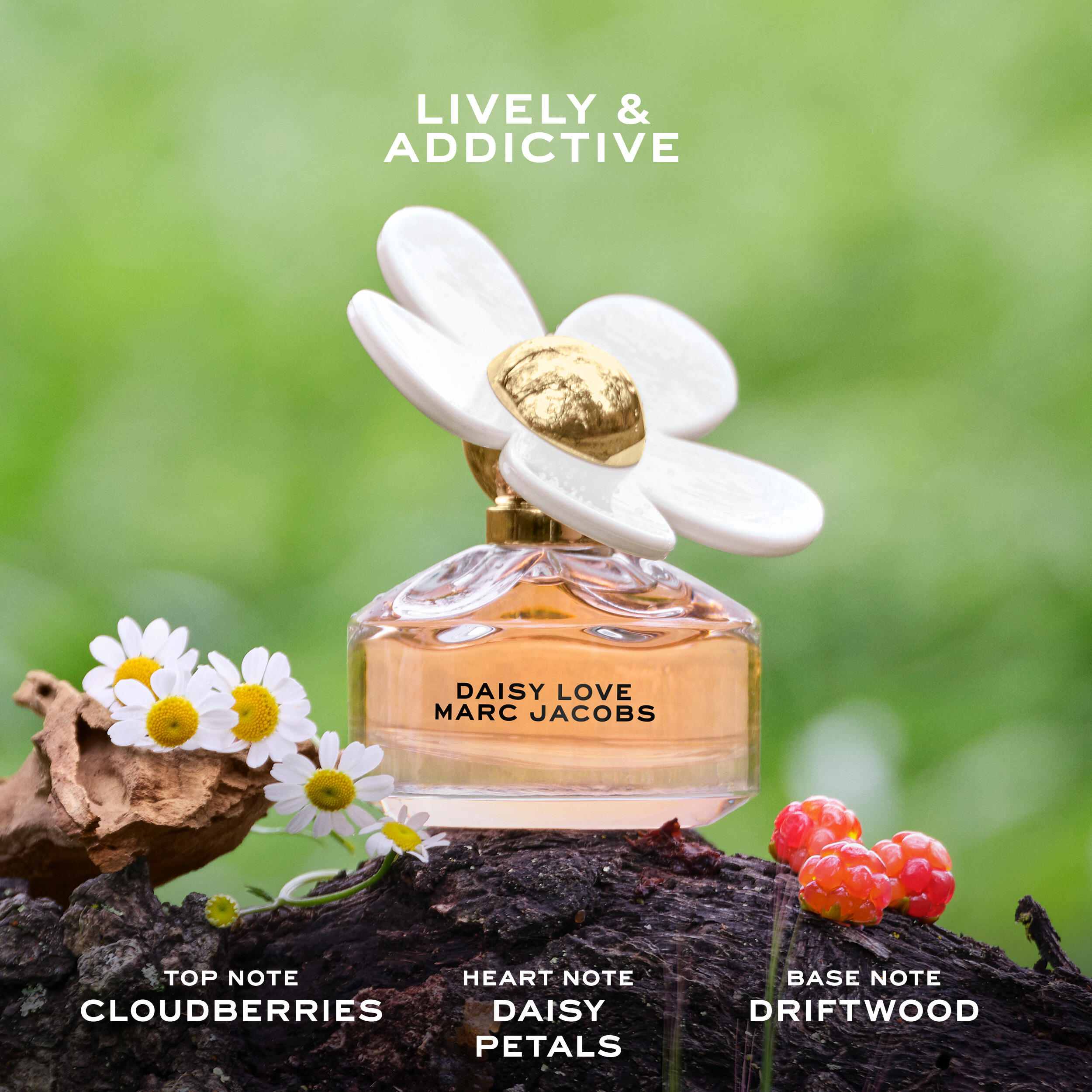 Daisy Love Eau De Toilette • 50ml