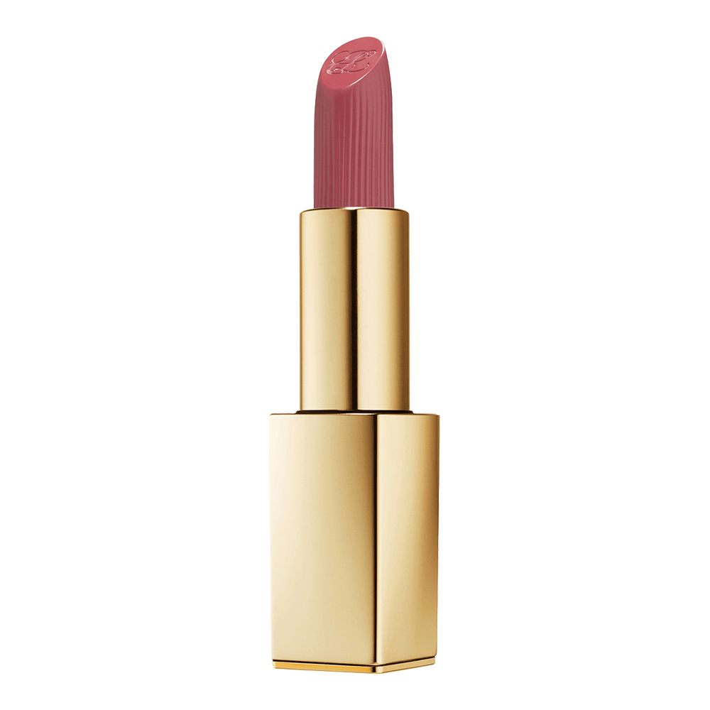 Pure Color Matte Lipstick • 669 Stolen Heart