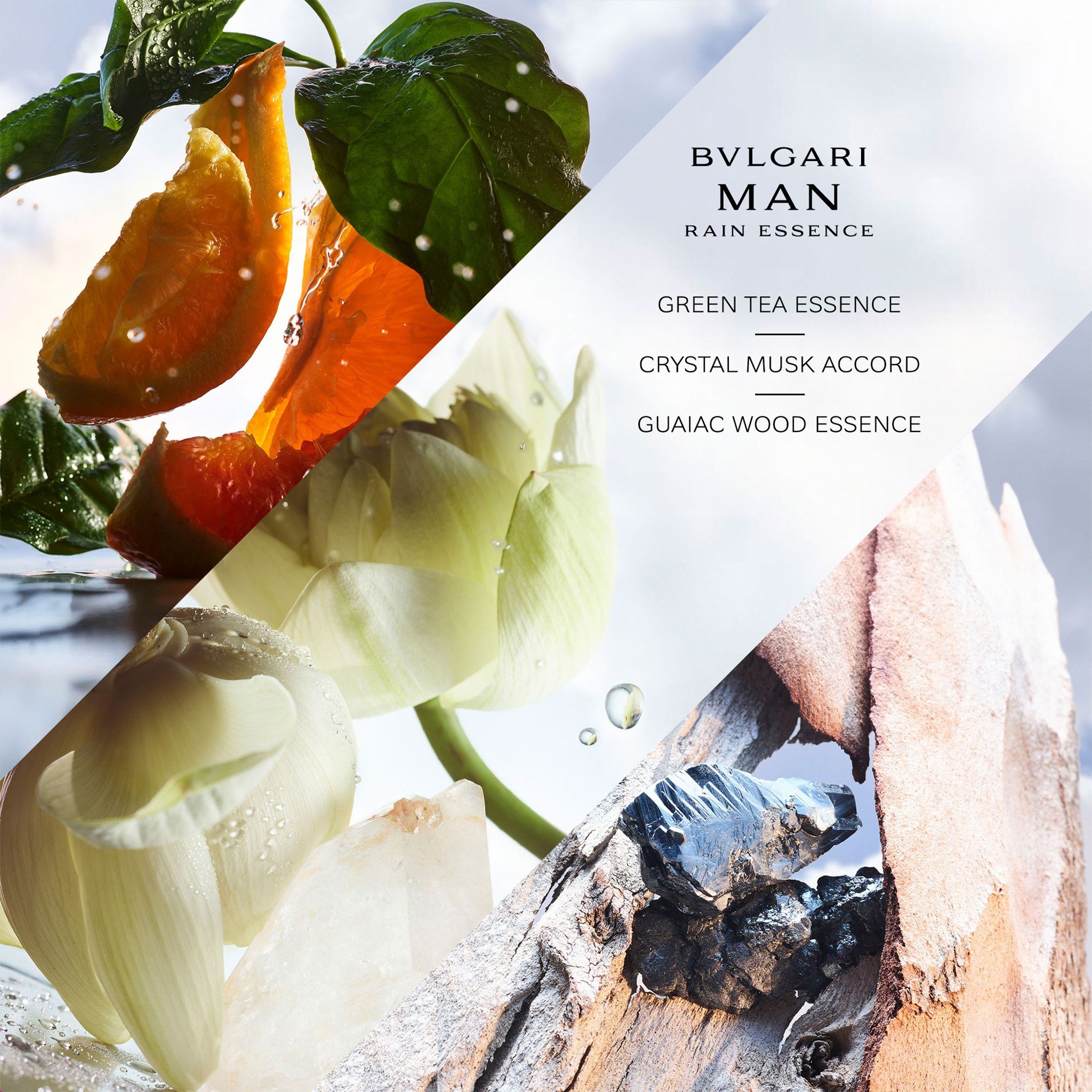 Man Rain Essence Eau De Parfum • 100ml