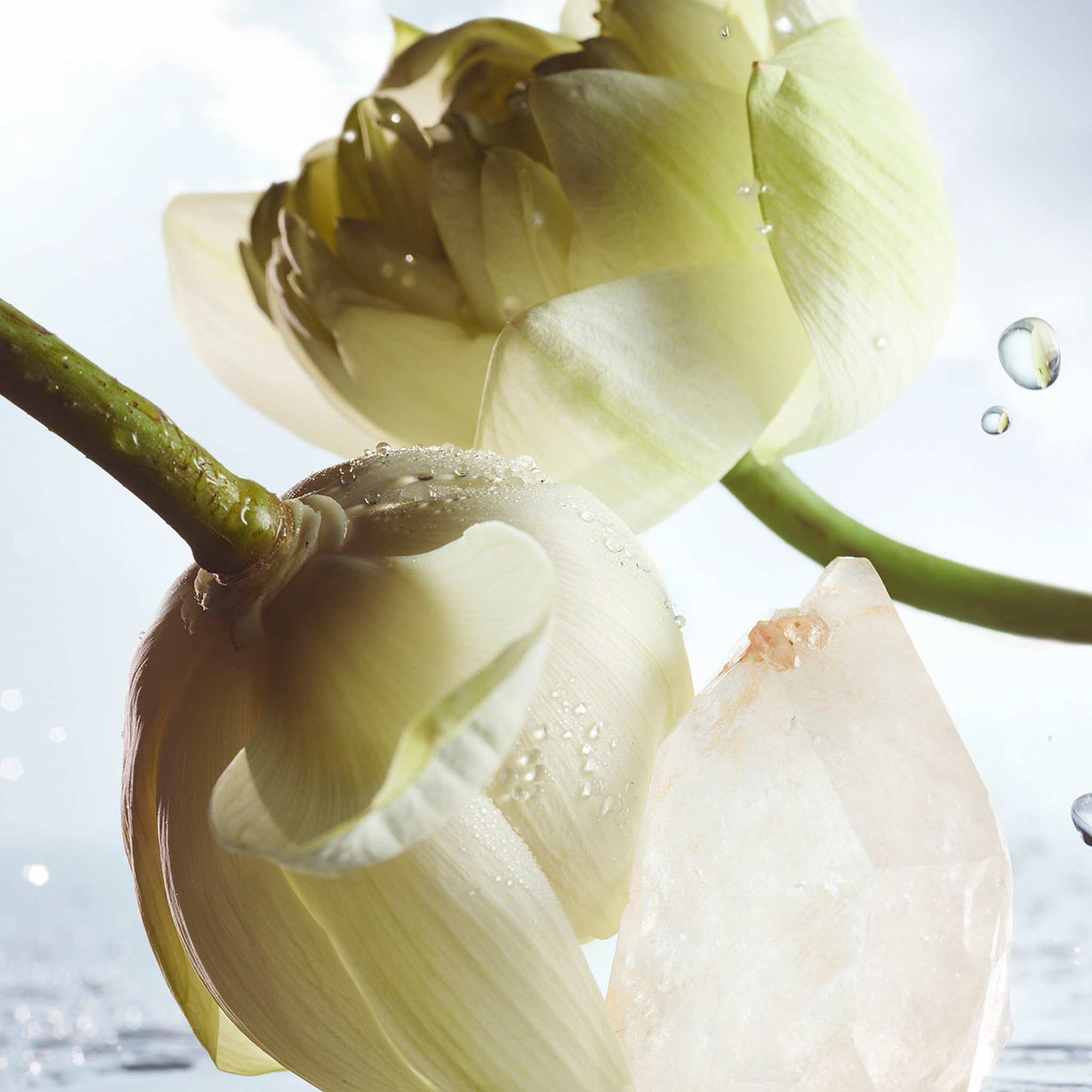 Man Rain Essence Eau De Parfum • 60ml