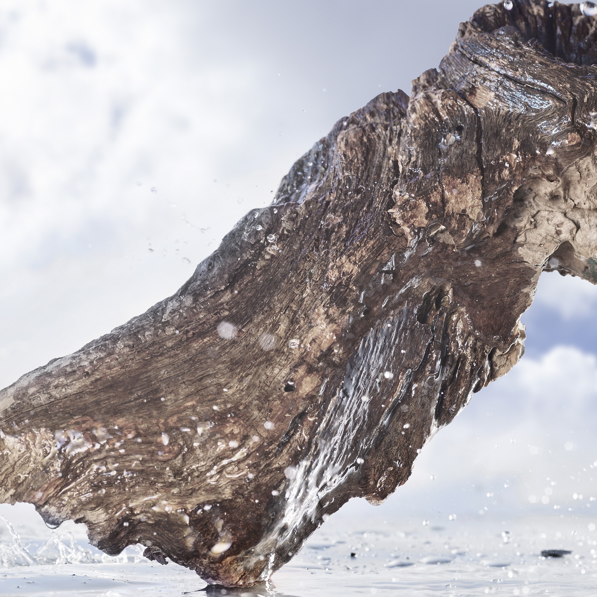 Man Rain Essence Eau De Parfum • 60ml