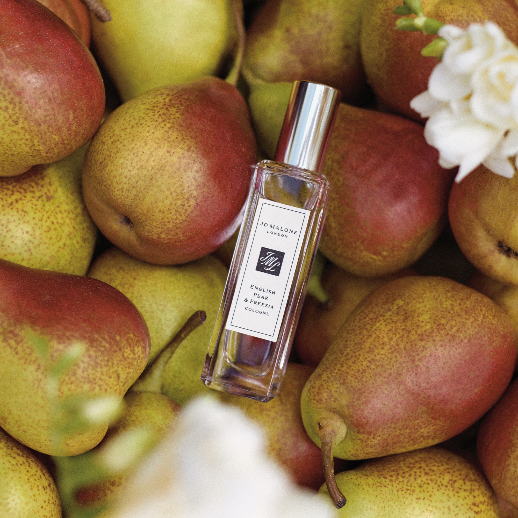 English Pear & Freesia • 30ml