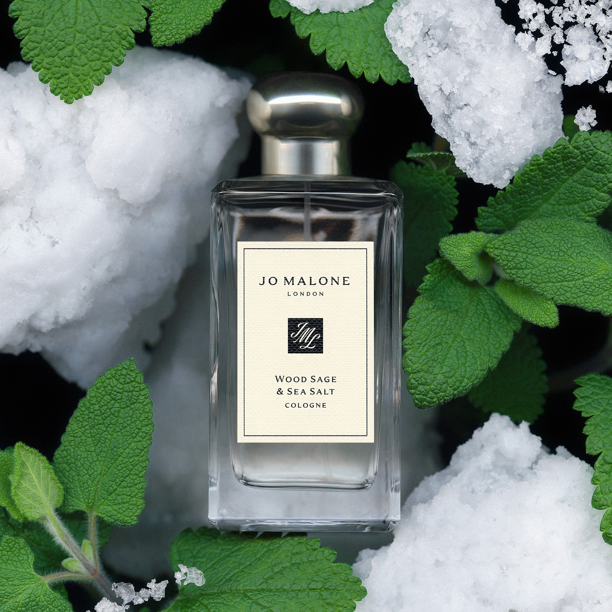 Wood Sage & Sea Salt • 30ml