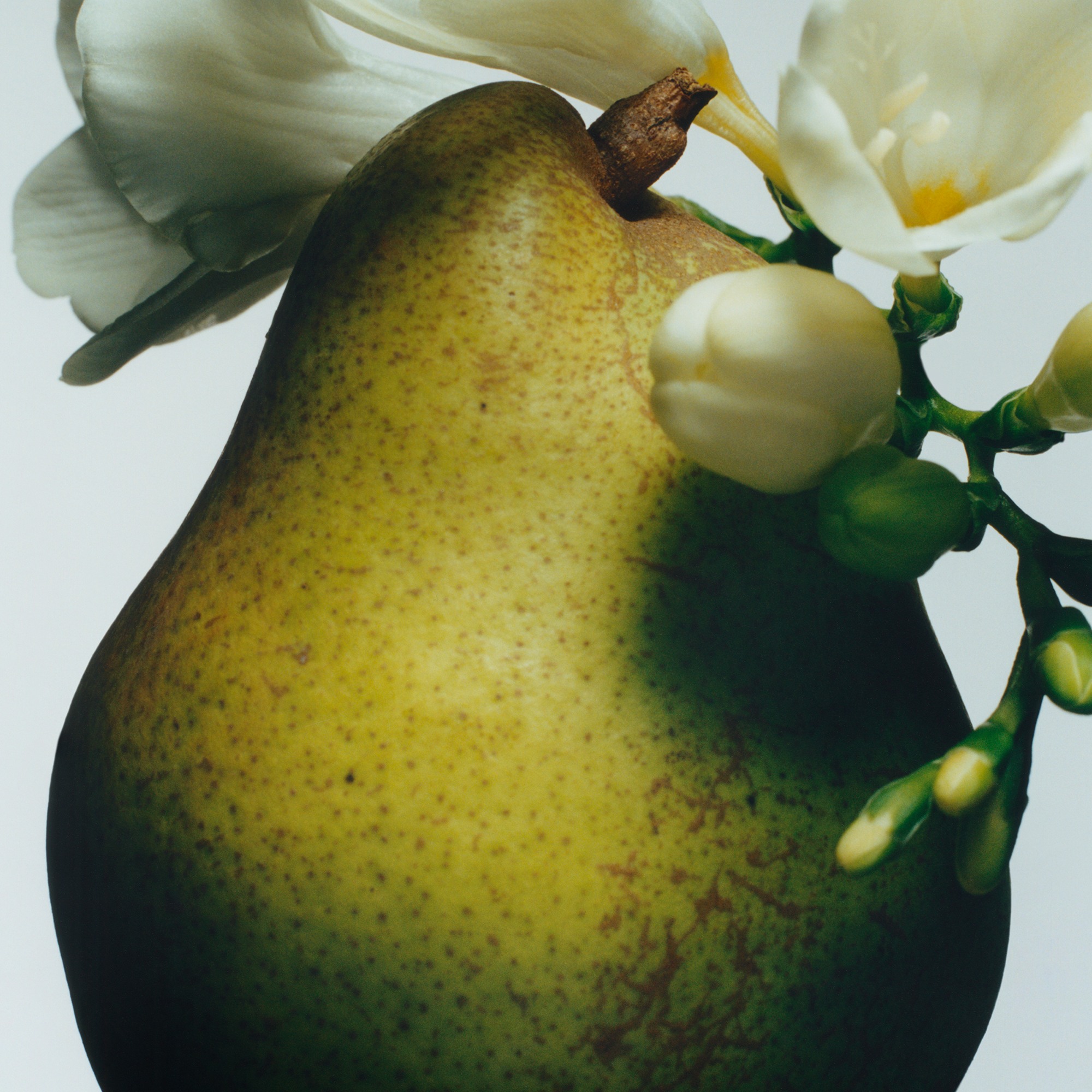 English Pear & Freesia • 100ml