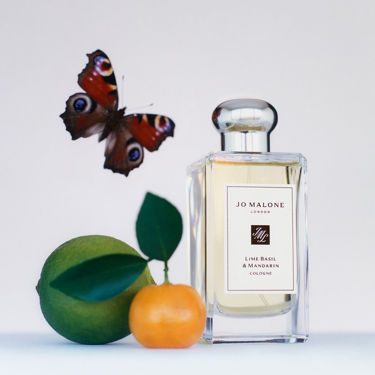 Lime Basil & Mandarin • 100ml
