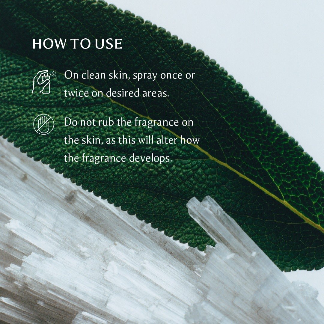 Wood Sage & Sea Salt • 100ml