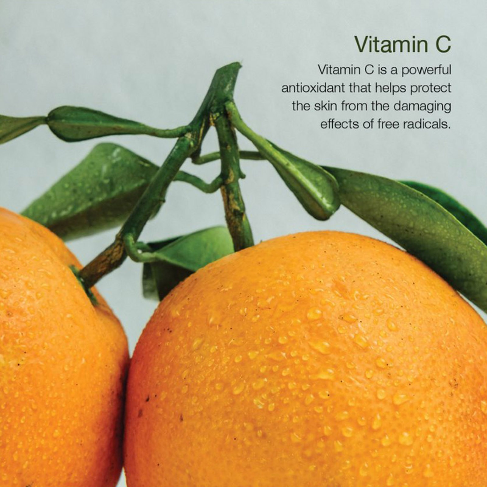 Treatments Vitamin C Skin Brightening Serum • 30ML