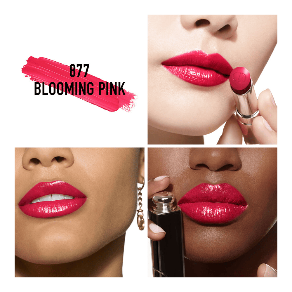 Dior 877 lipstick clearance