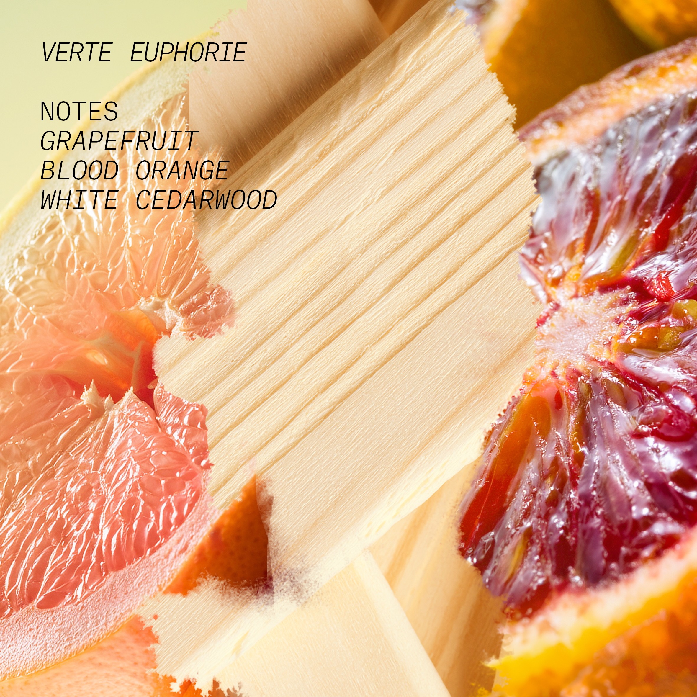 Verte Euphorie Eau De Parfum • 100ml