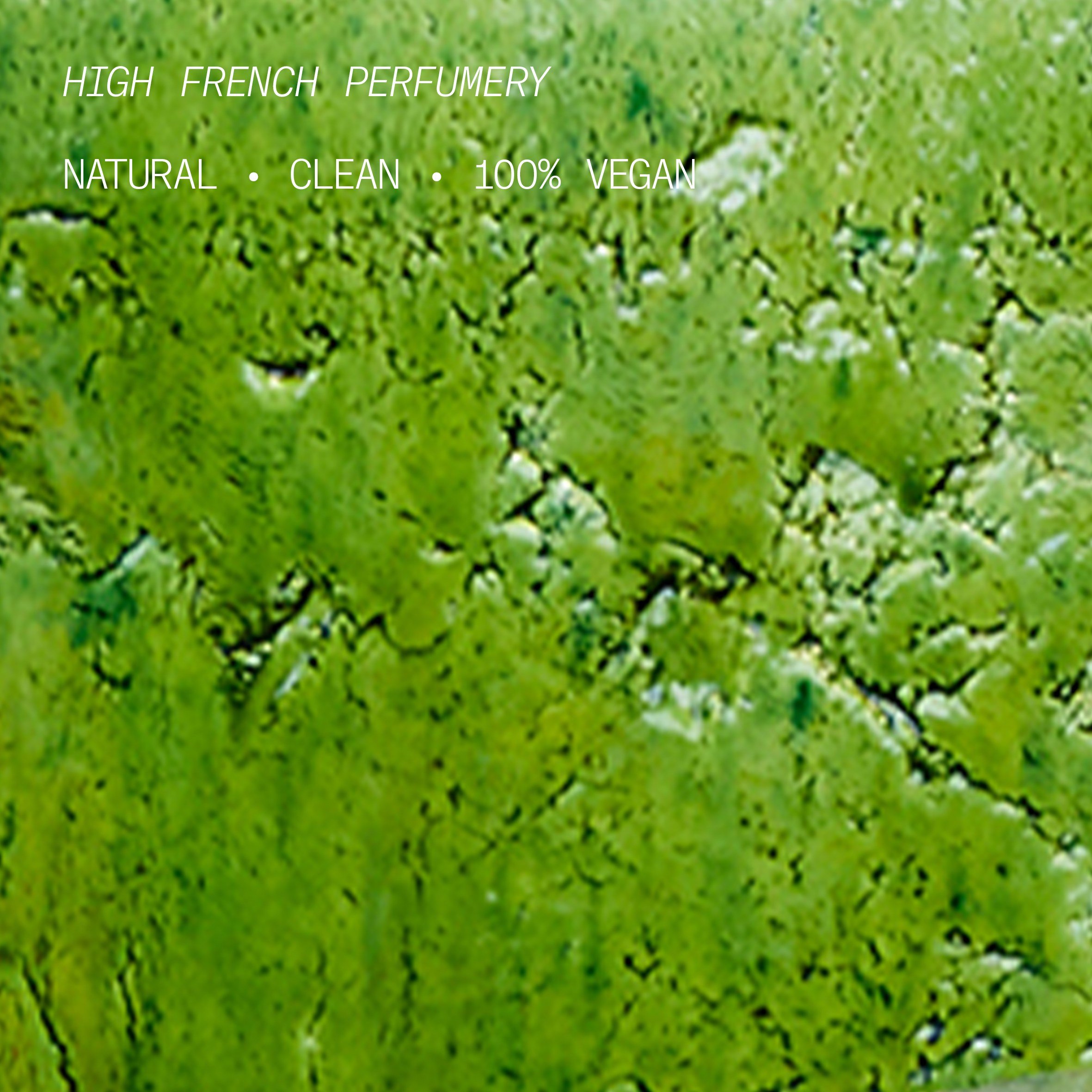 Verte Euphorie Eau De Parfum • 100ml