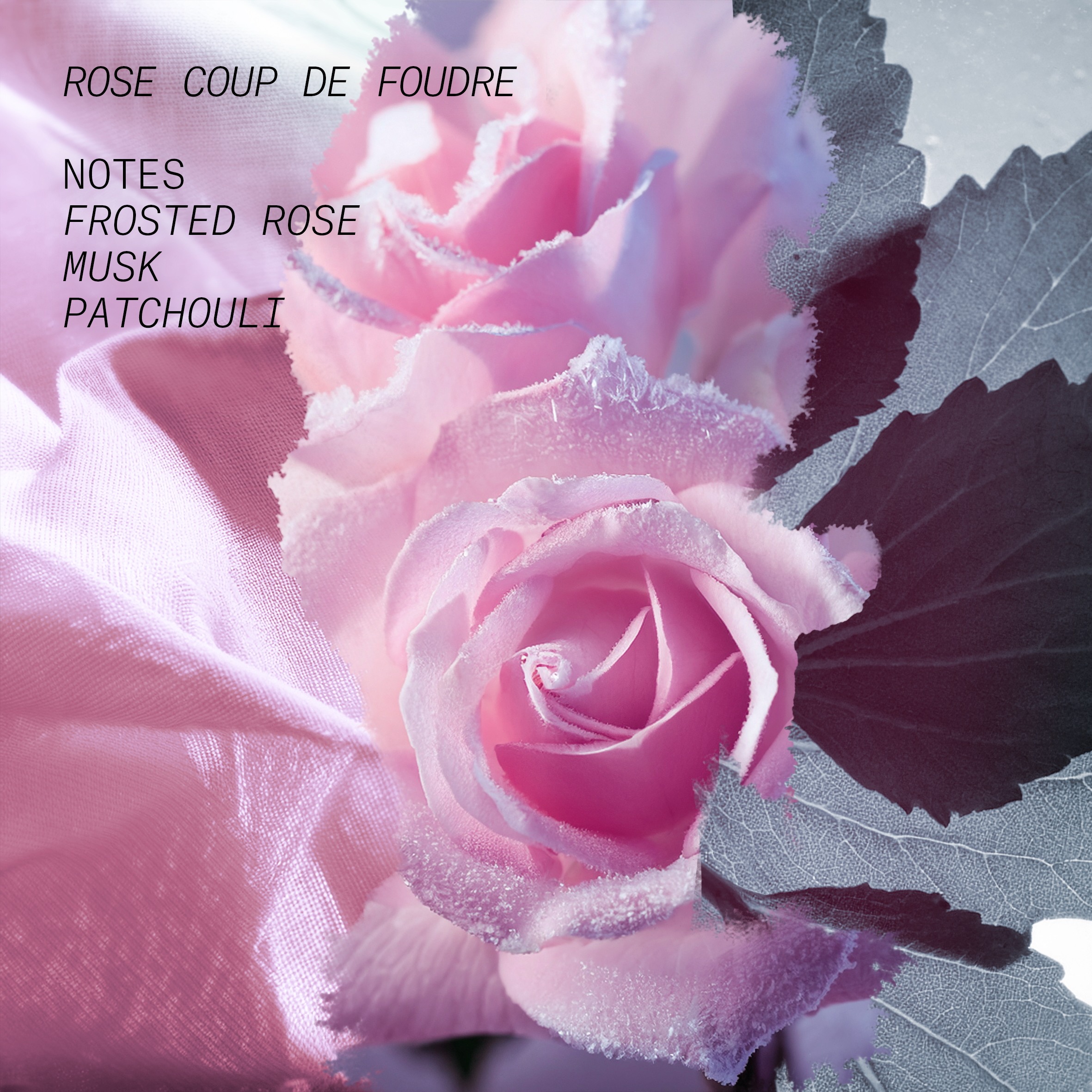 Rose Coup De Foudre Eau De Parfum • 15ml