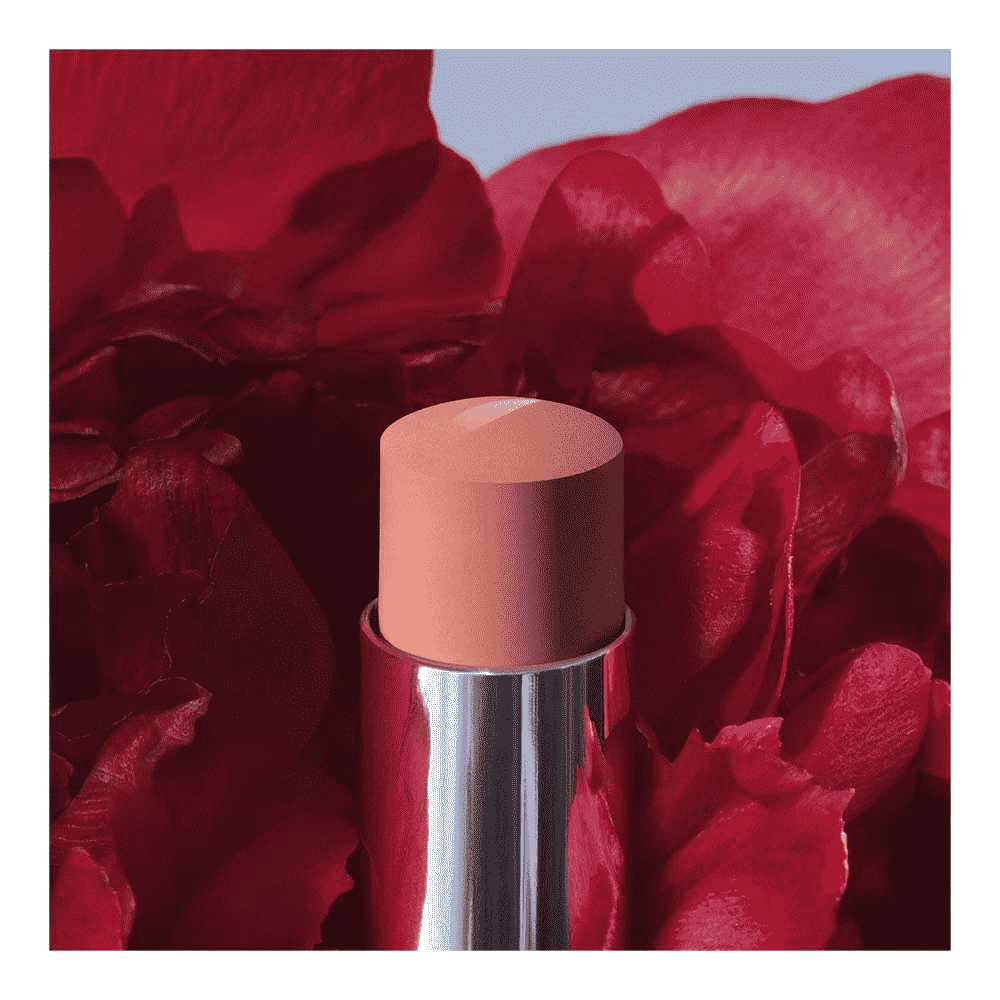 Rouge Dior Forever Lipstick • 100 Forever Nude Look