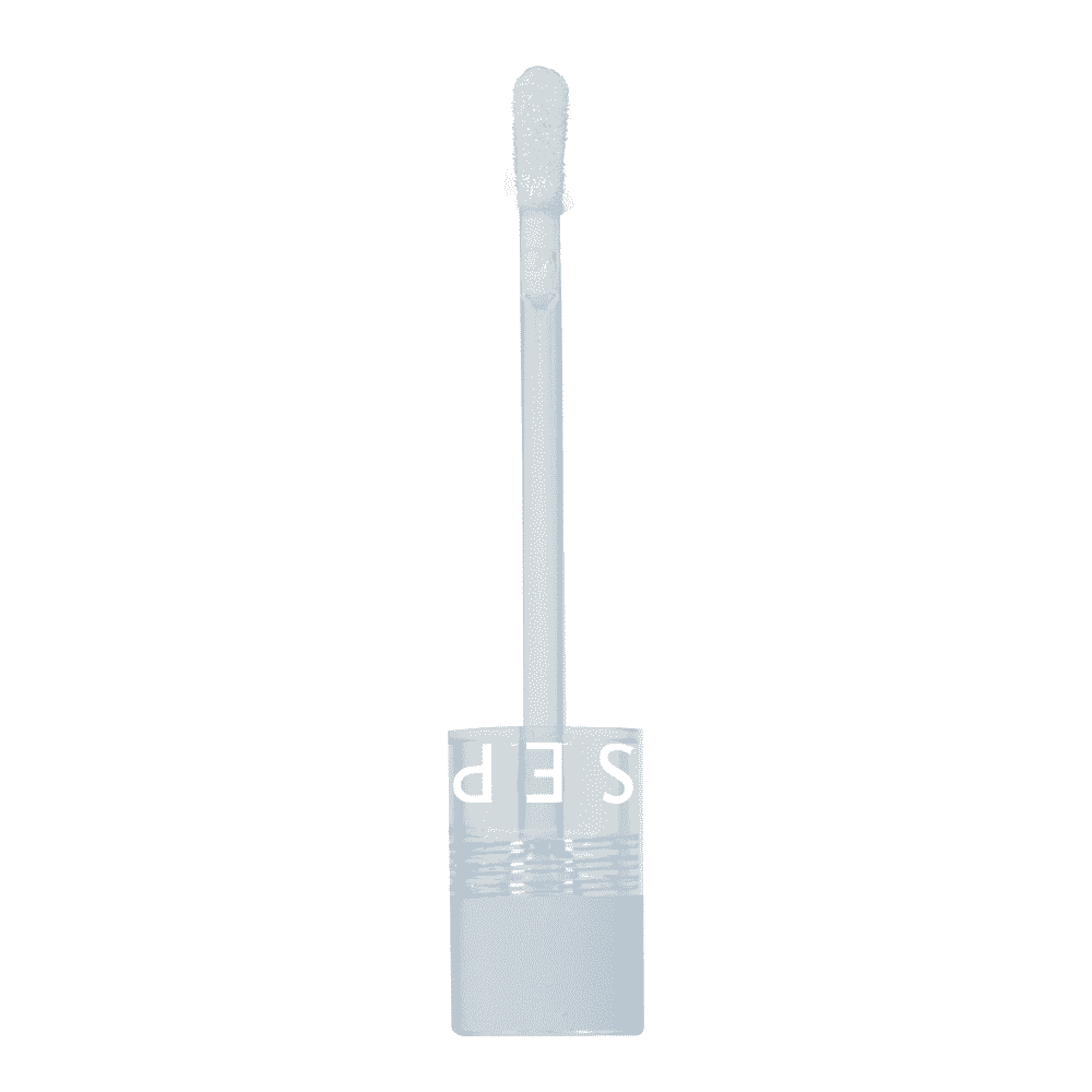 Glossed Lip Gloss • 05 Strut (Glitter Finish)