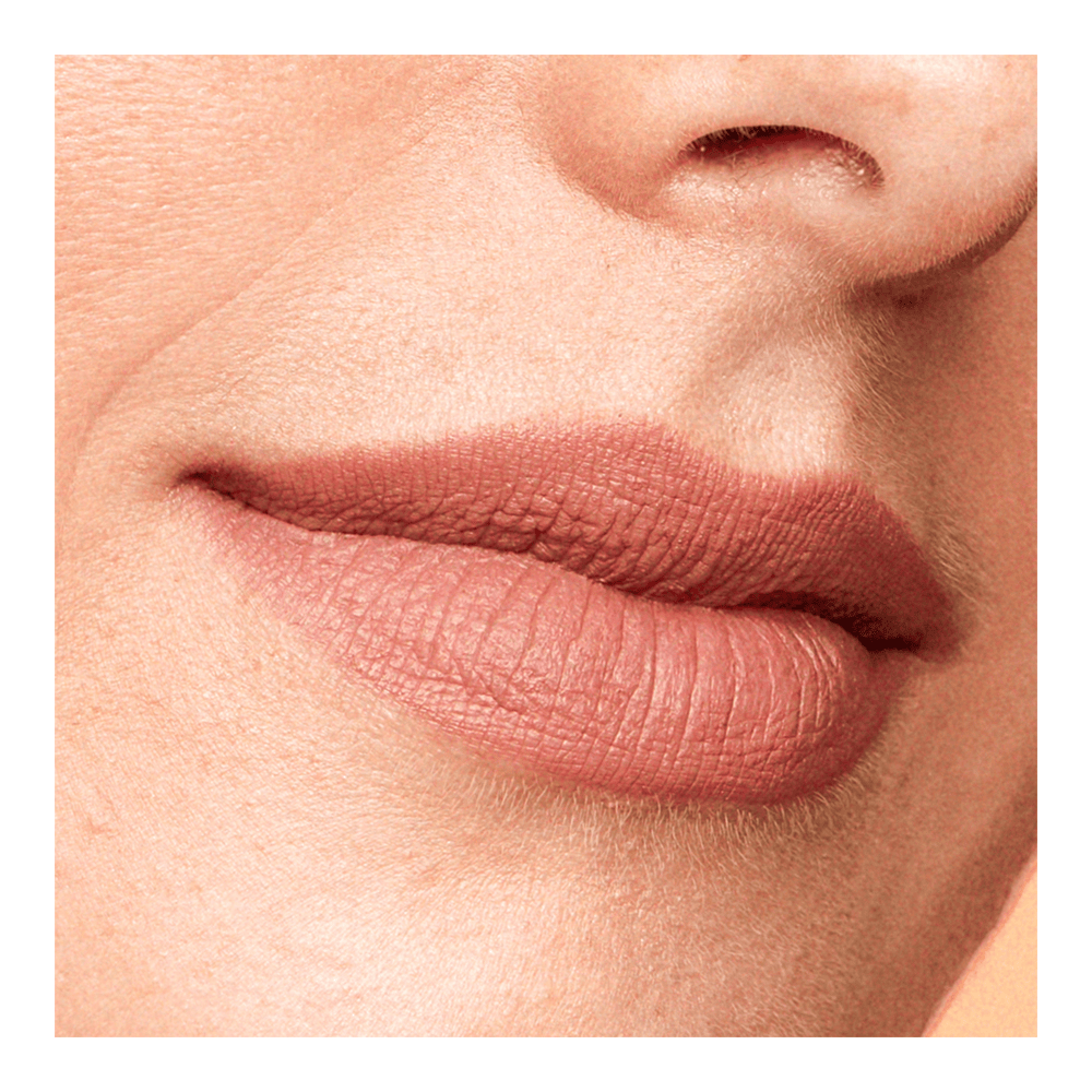 Magnetic Lip Plush Paints • Bahama Mama