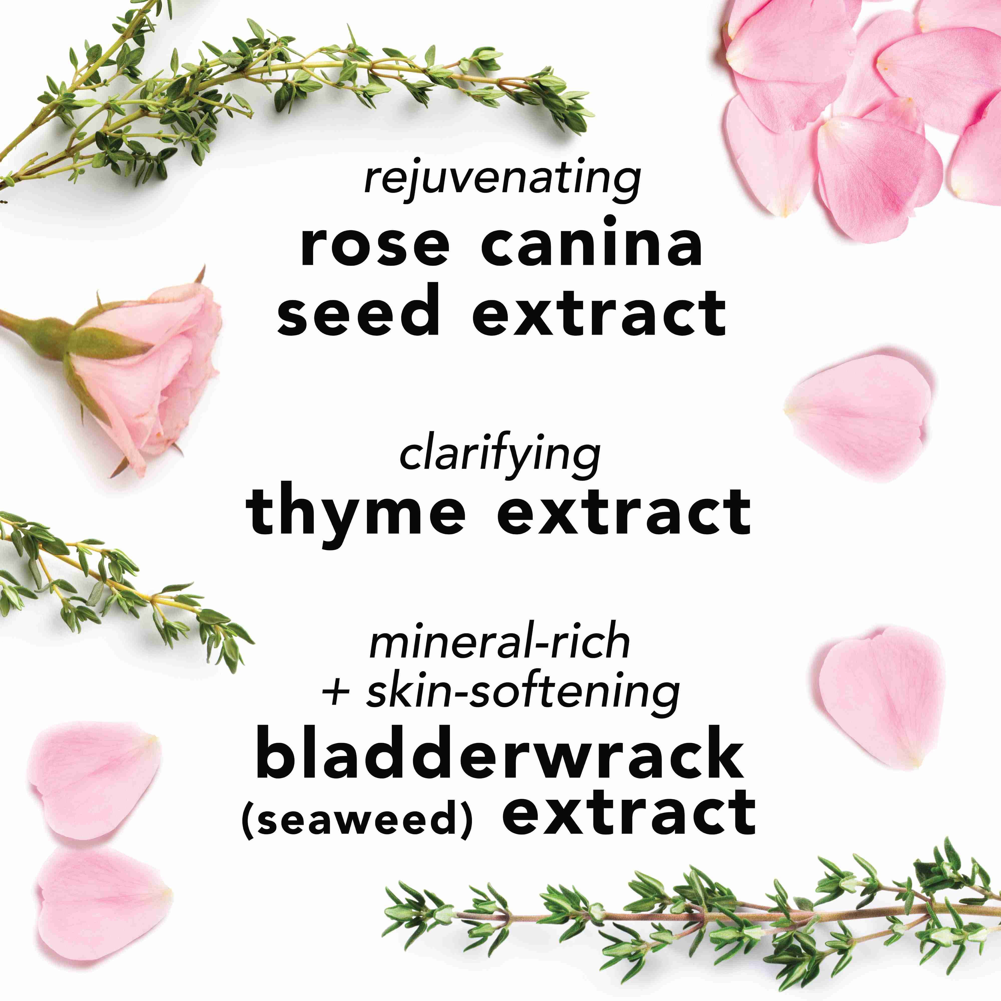 Facial Spray With Aloe, Herbs and Rosewater • 118ml