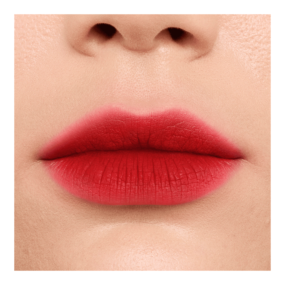 Soft Matte and Easy Lip Stain • 11 Je Ne Sais Quoi