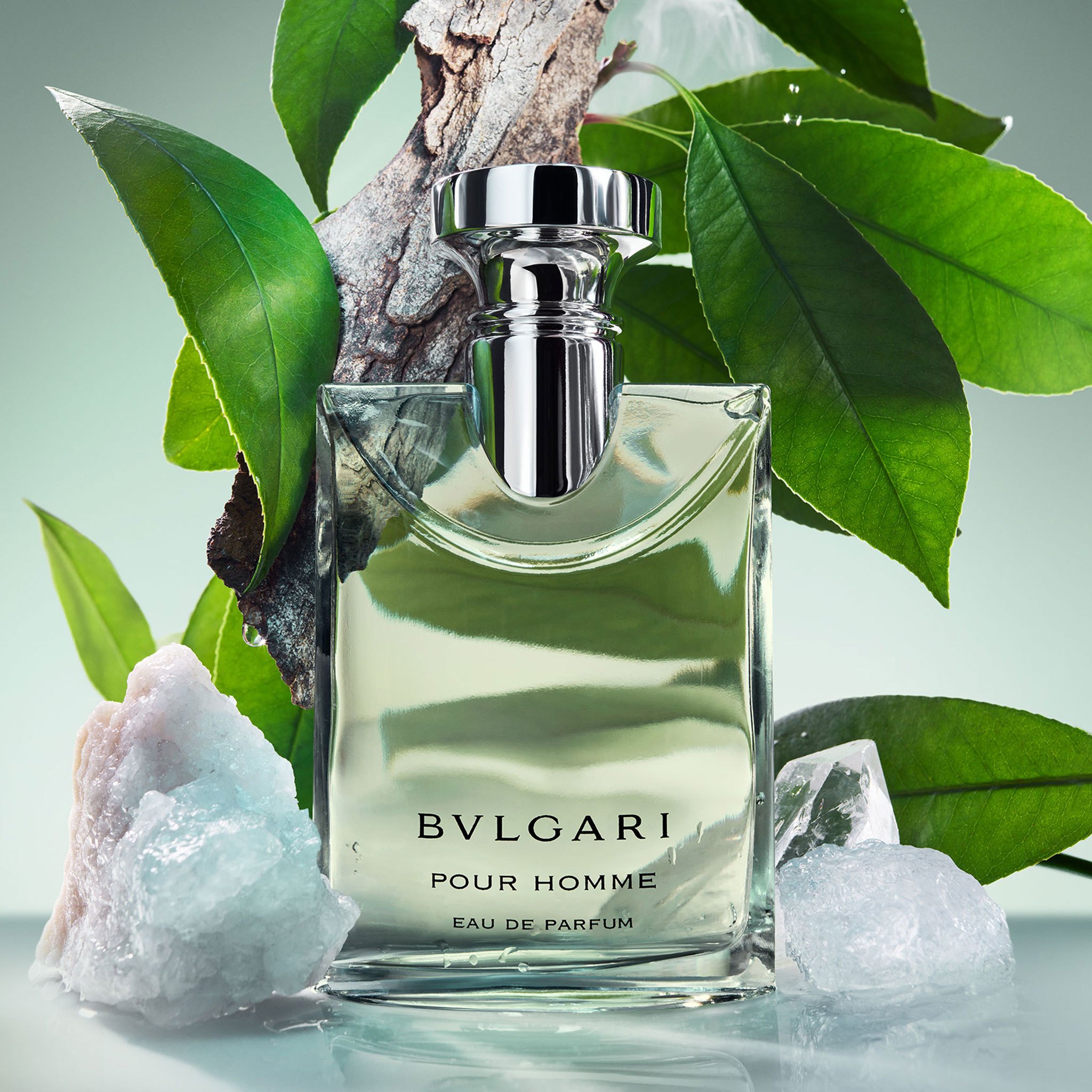 BVLGARI Pour Homme 100ml Eau de Parfum（Bvlgari, Pour Homme