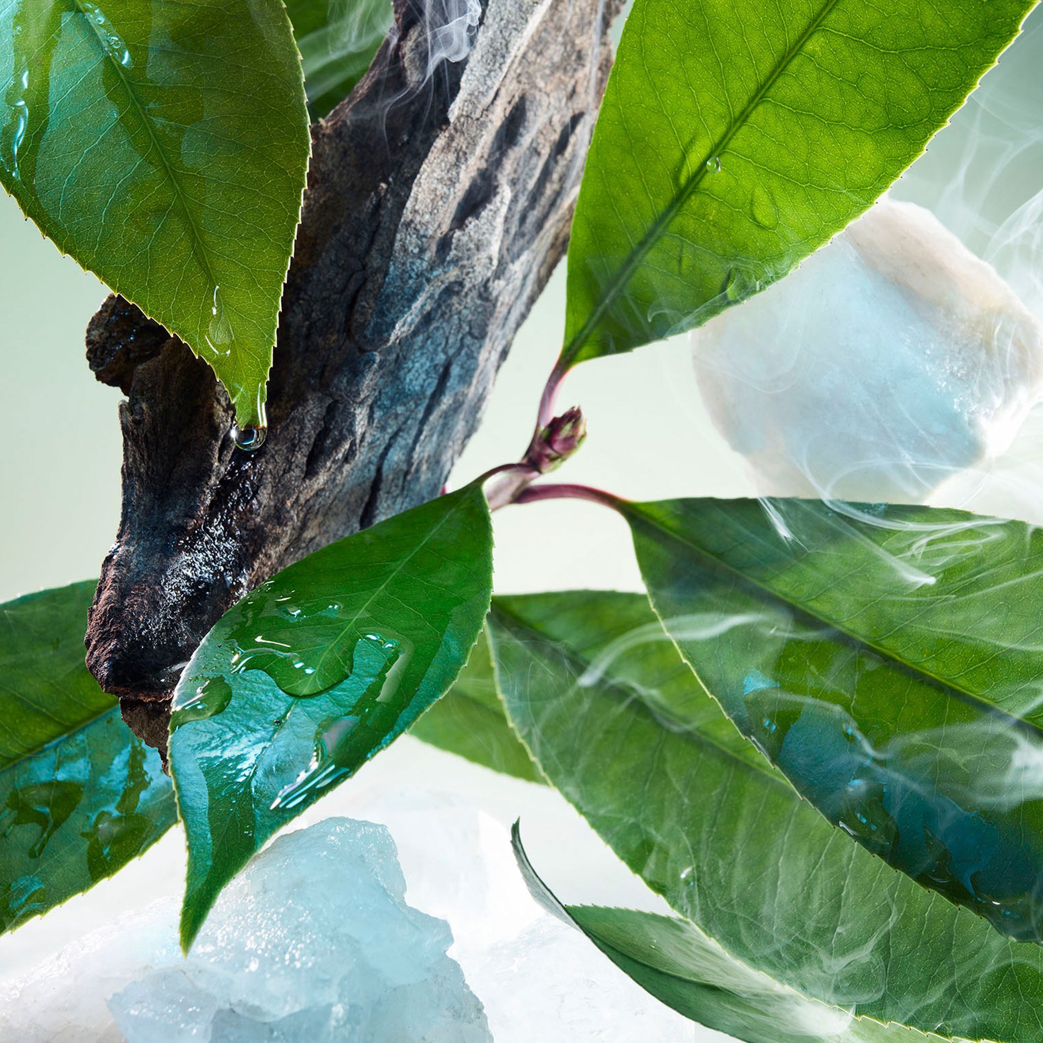 Pour Homme Eau De Parfum • 50ml