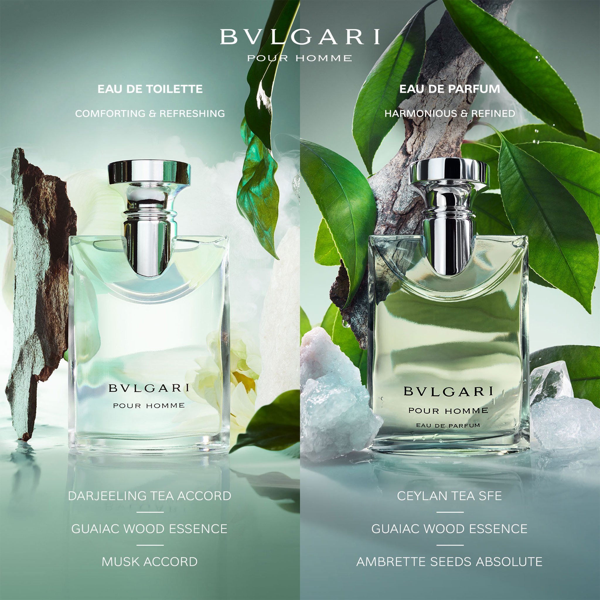 【50ml】BVLGARI pour femme EDP　ブルガリ Buy Bvlgari Pour Femme Edp 50 Ml