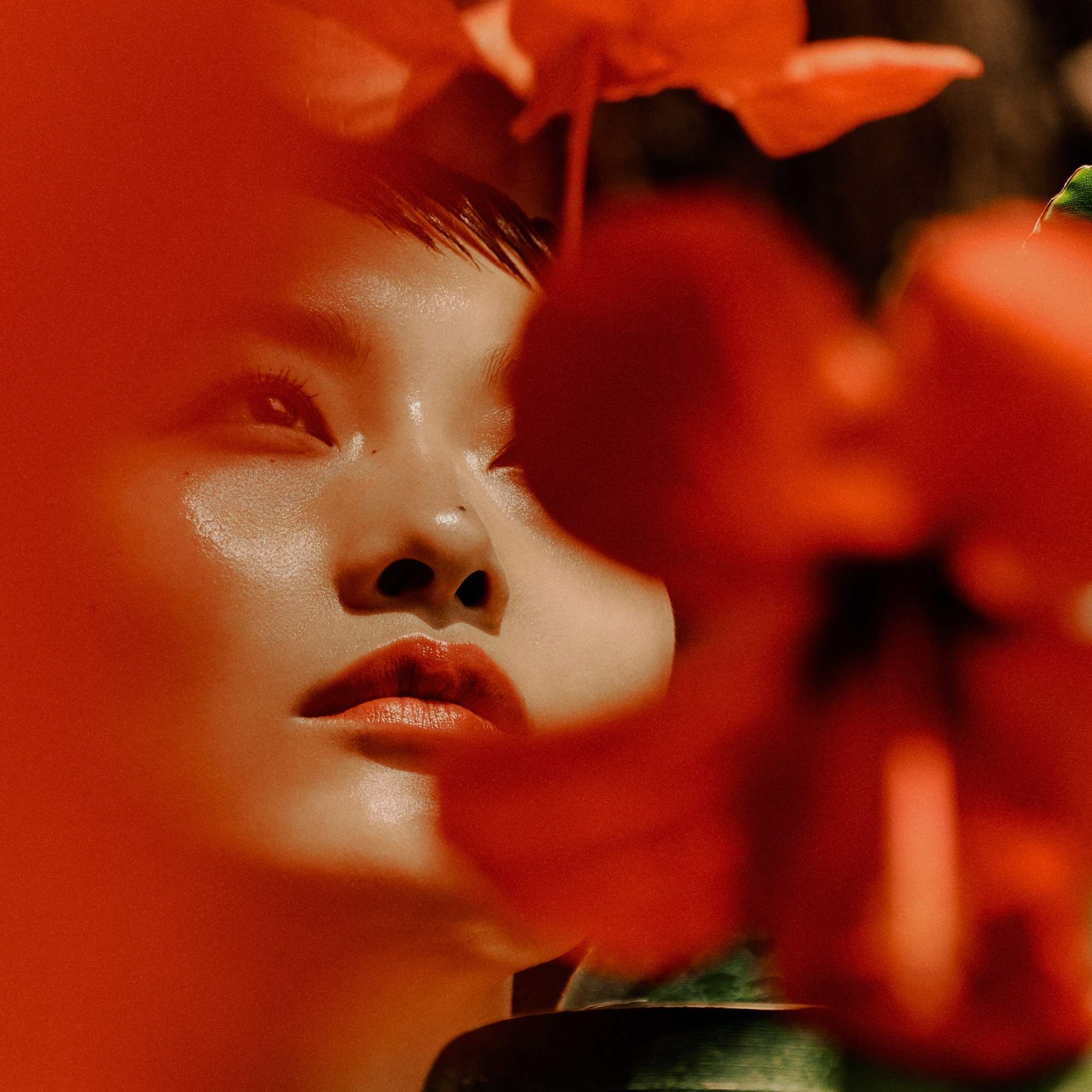 Red Hibiscus • 50ml