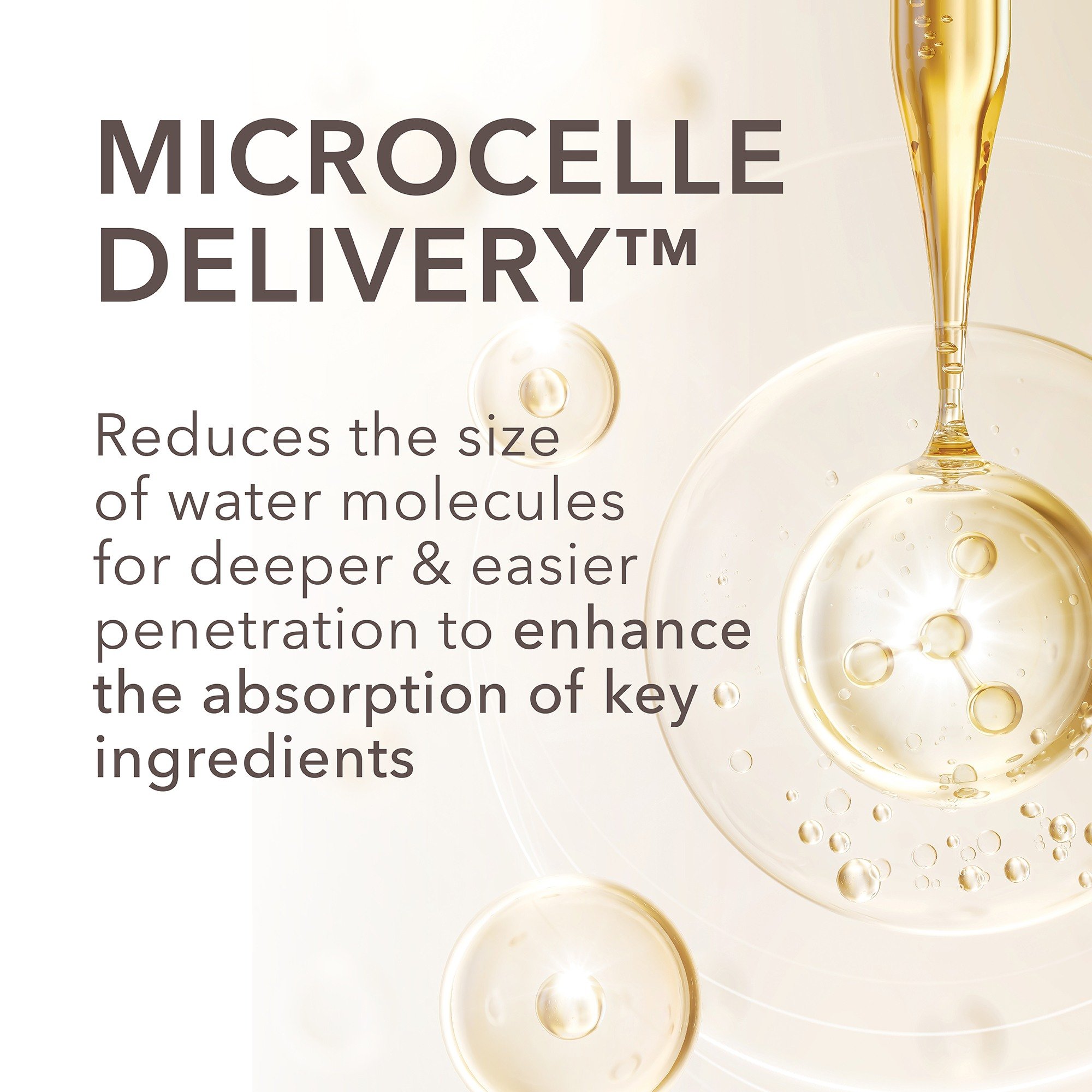 DermInfusions Fill + Repair Serum • 30g
