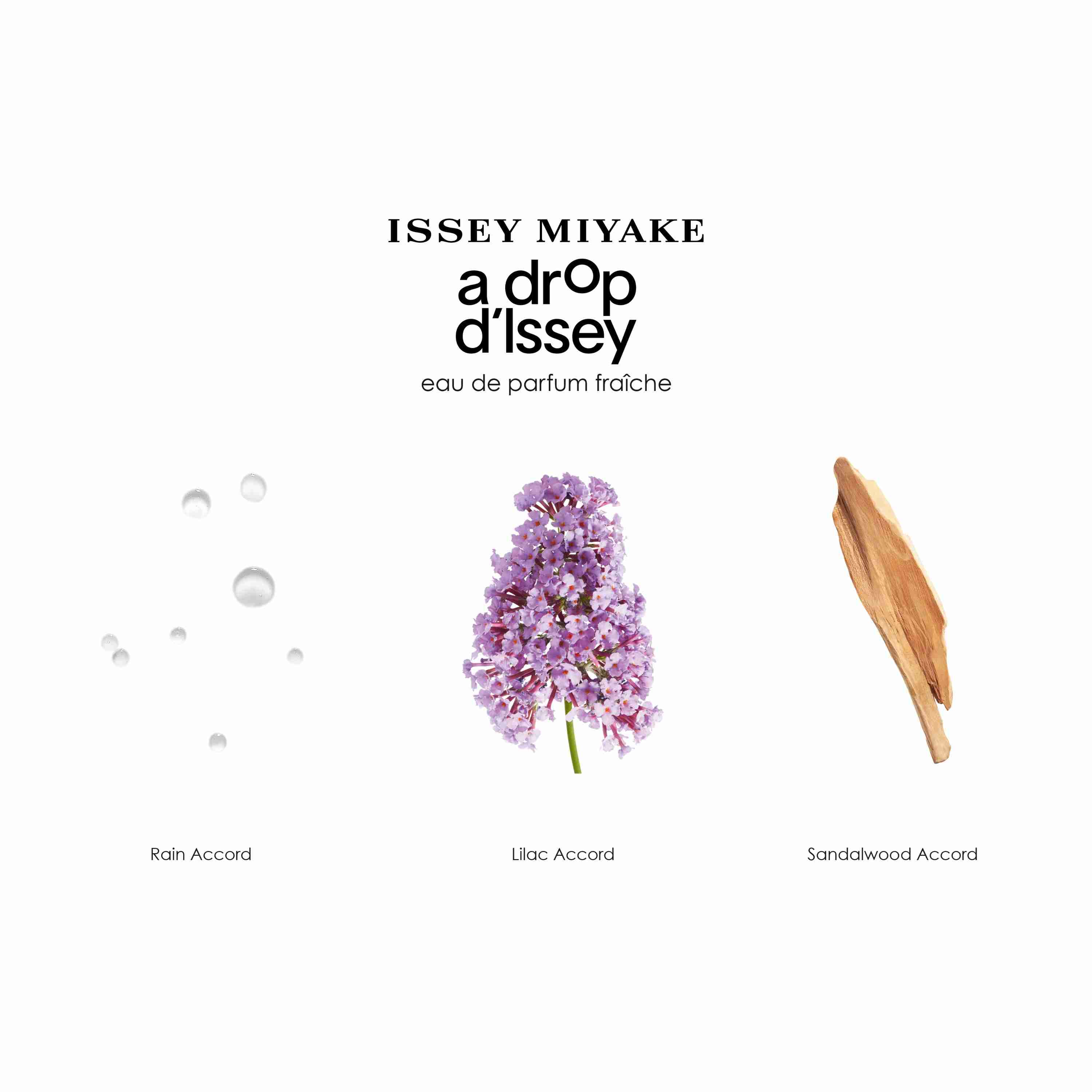 A Drop D'Issey Fraiche • 50ml