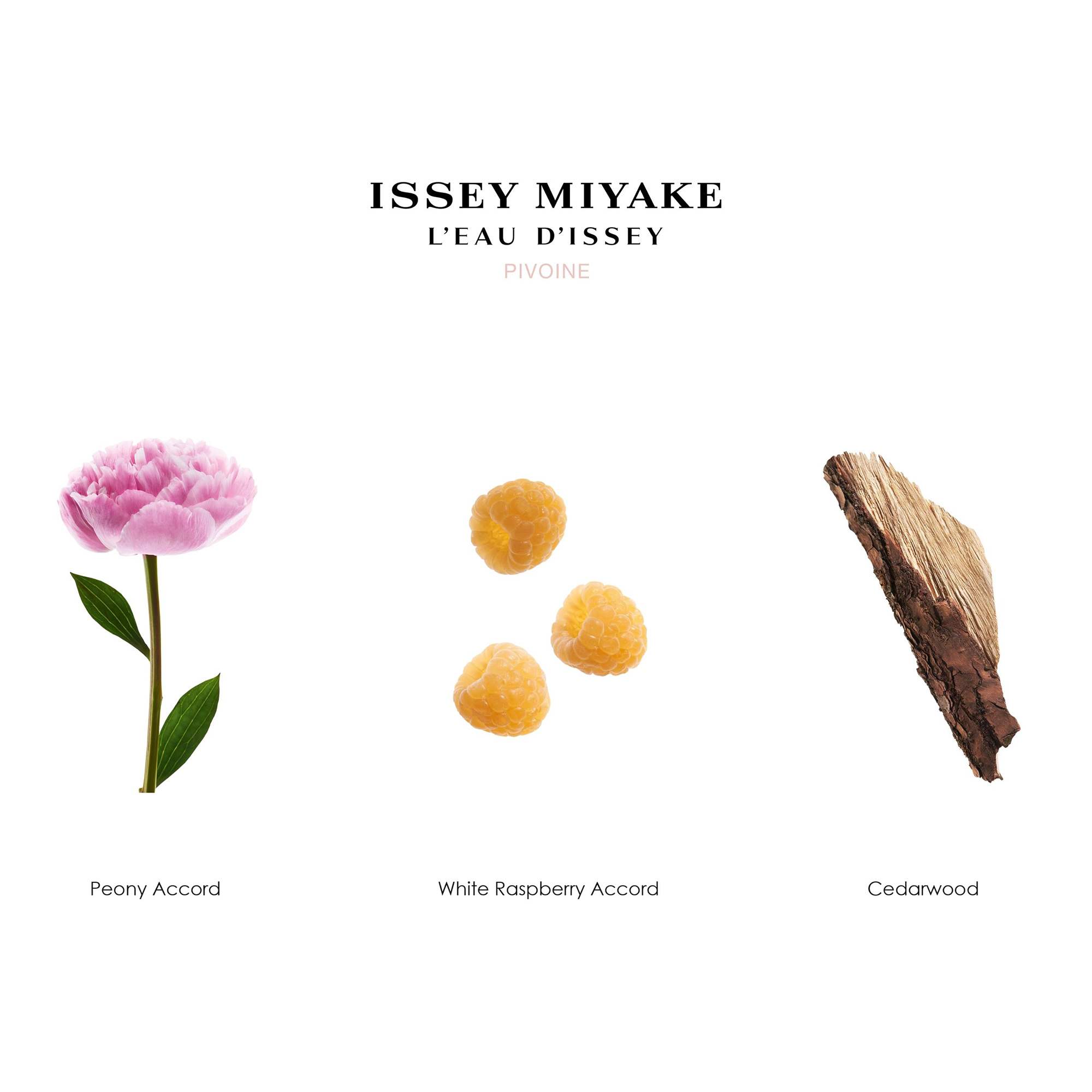 L'Eau D'Issey Pivoine • 50ml