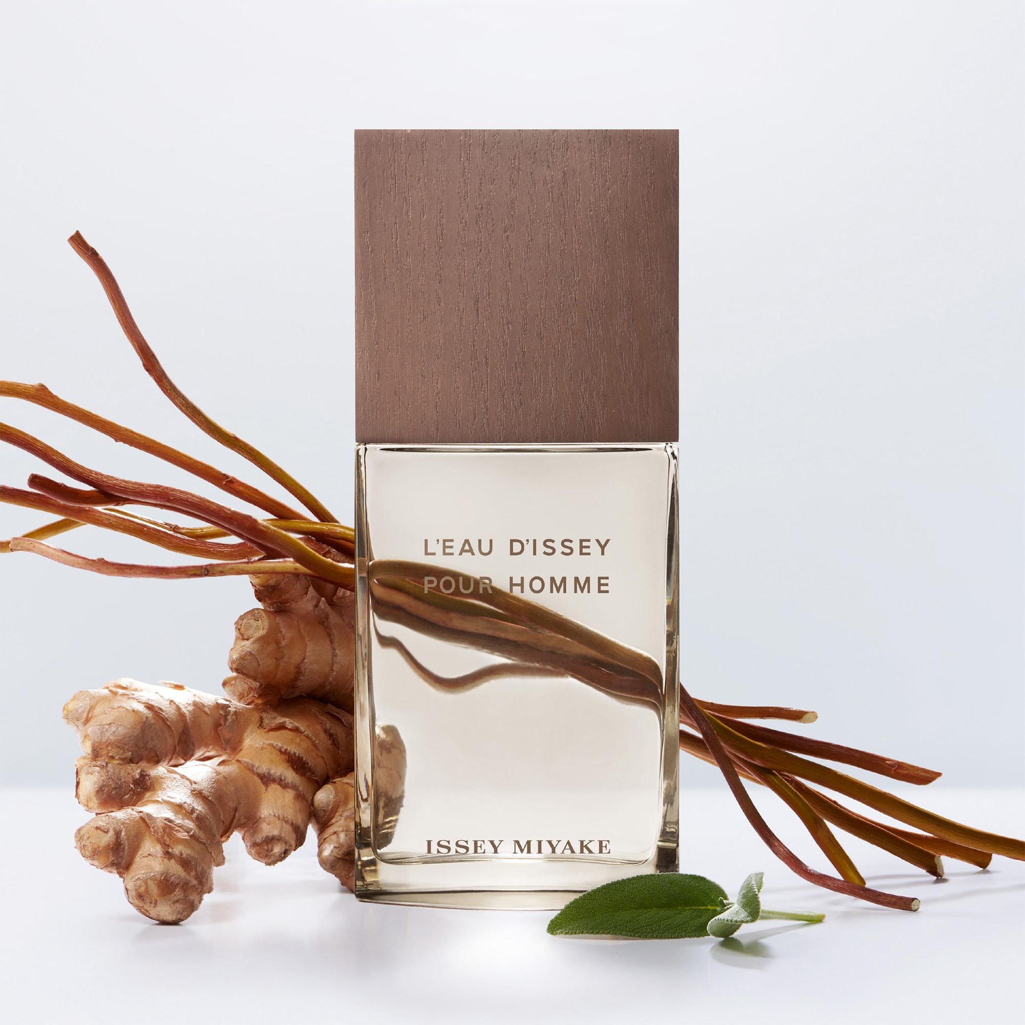 L'Eau D'Issey Pour Homme Vetiver • 50ml