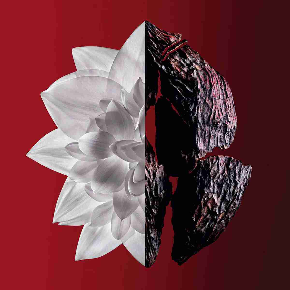 L'Interdit Eau De Parfum Rouge Ultime • 50ml