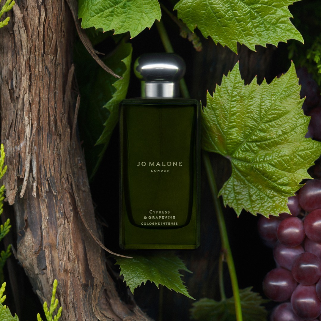 Cypress & Grapevine • 100ml