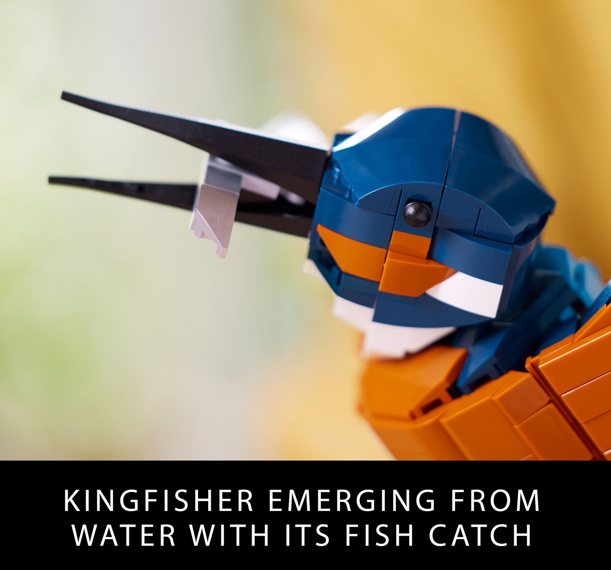 https://cdn.fynd.com/v2/falling-surf-7c8bb8/fyprod/wrkr/products/pictures/item/free/original/000000000494376876/g_QfDV8sz-494376876-5.jpg