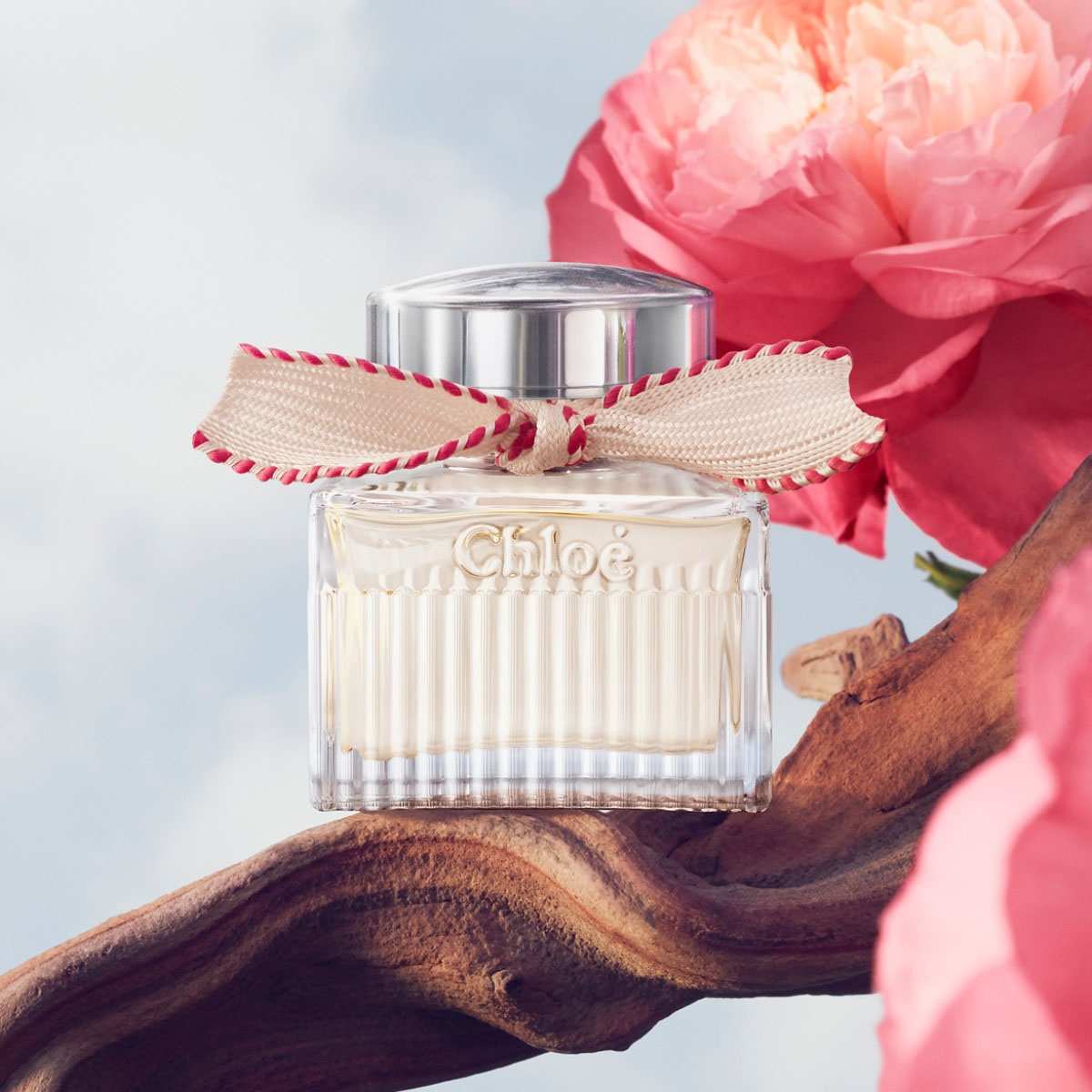 Signature Lumineuse Roses EDP • 50ml