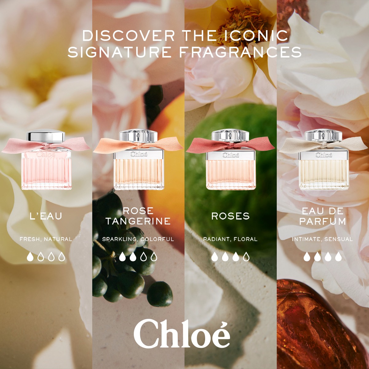 Signature Lumineuse Roses EDP • 50ml
