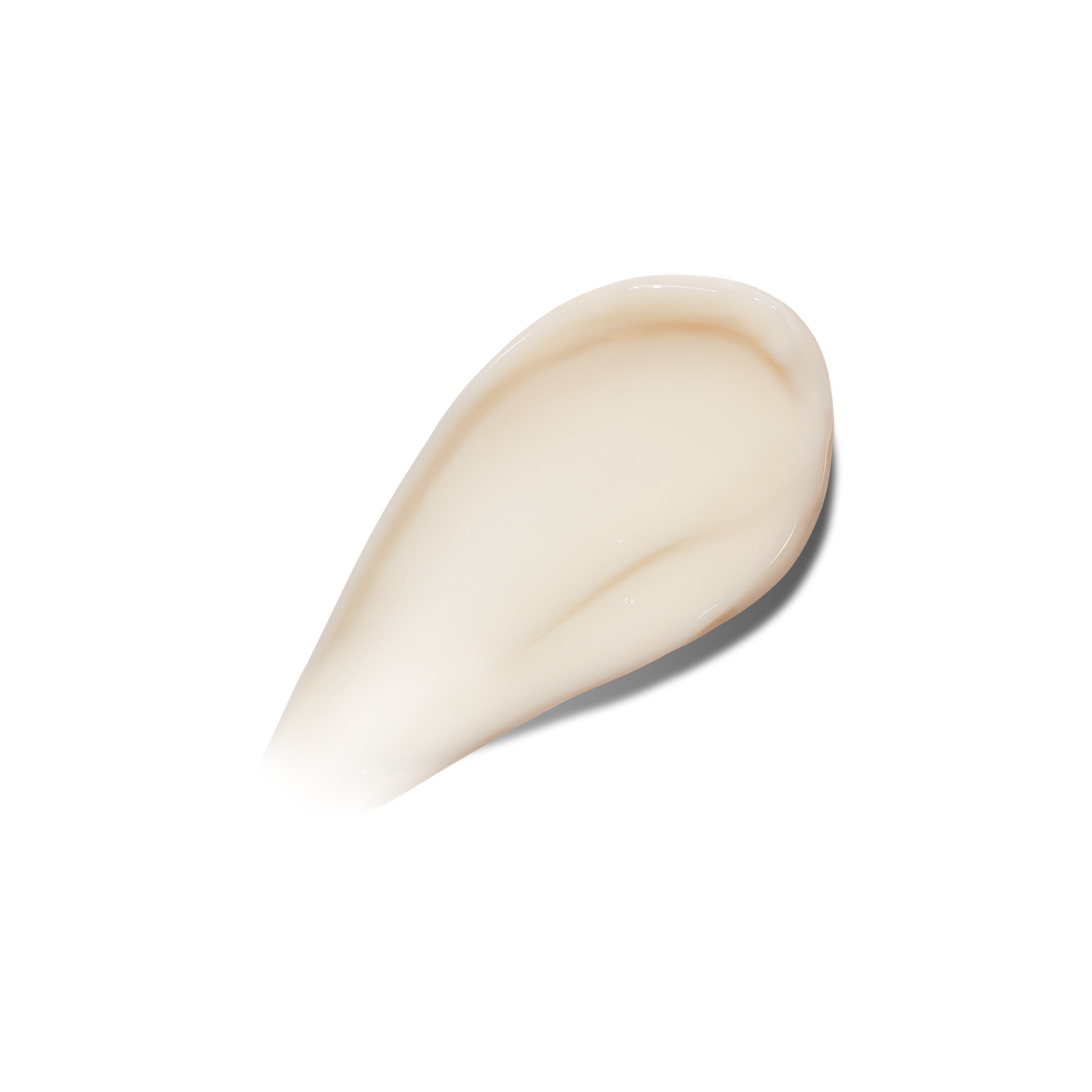The Moisturizer Fresh Cream • 15ml